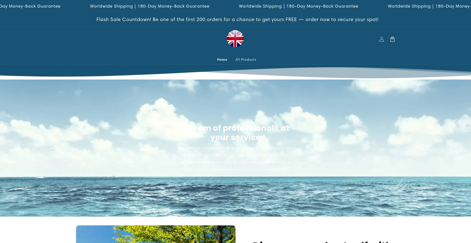 Website screenshot of Fittbloom.com
