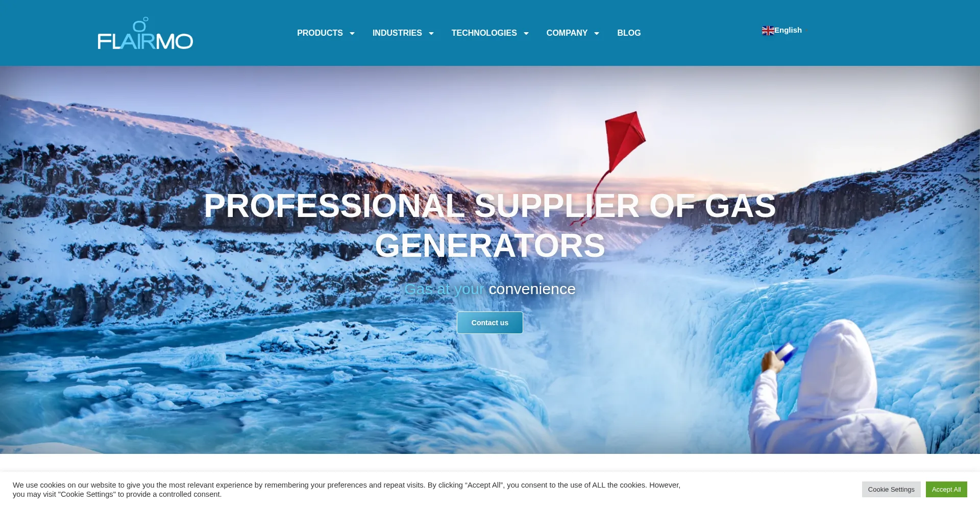 Website screenshot of Flairmo-gas.com