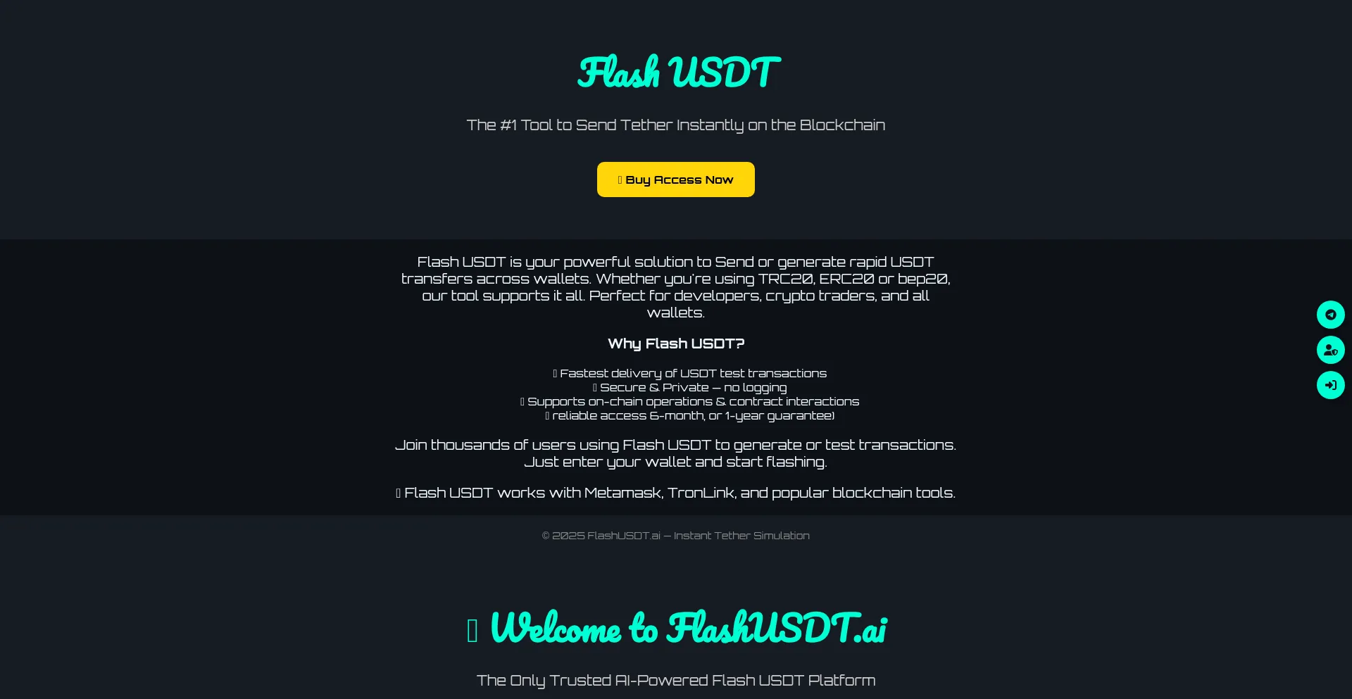 Website screenshot of Flashusdt.ai