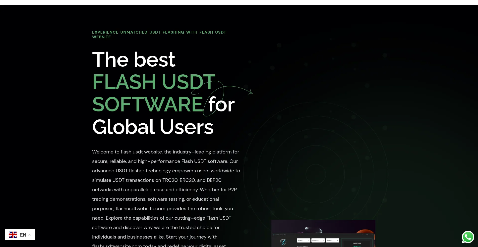 Website screenshot of Flashusdtwebsite.com