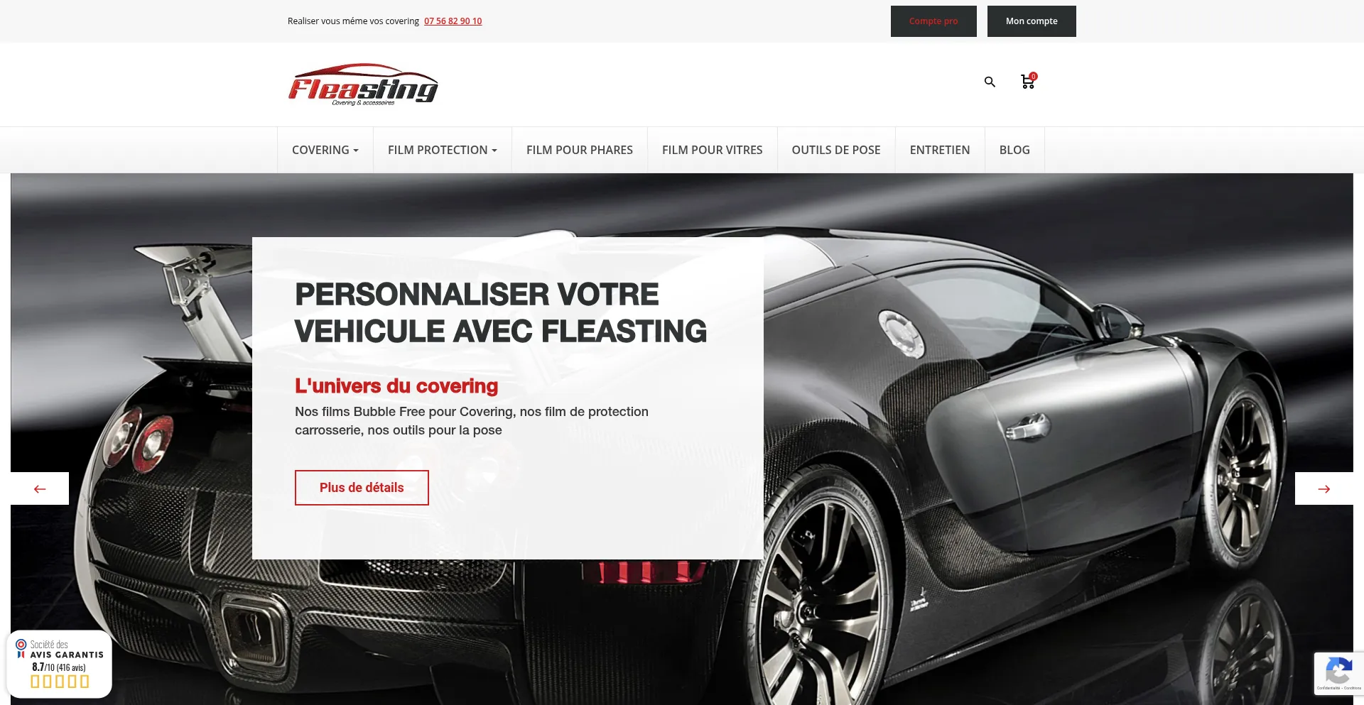 Website screenshot of Fleasting.com