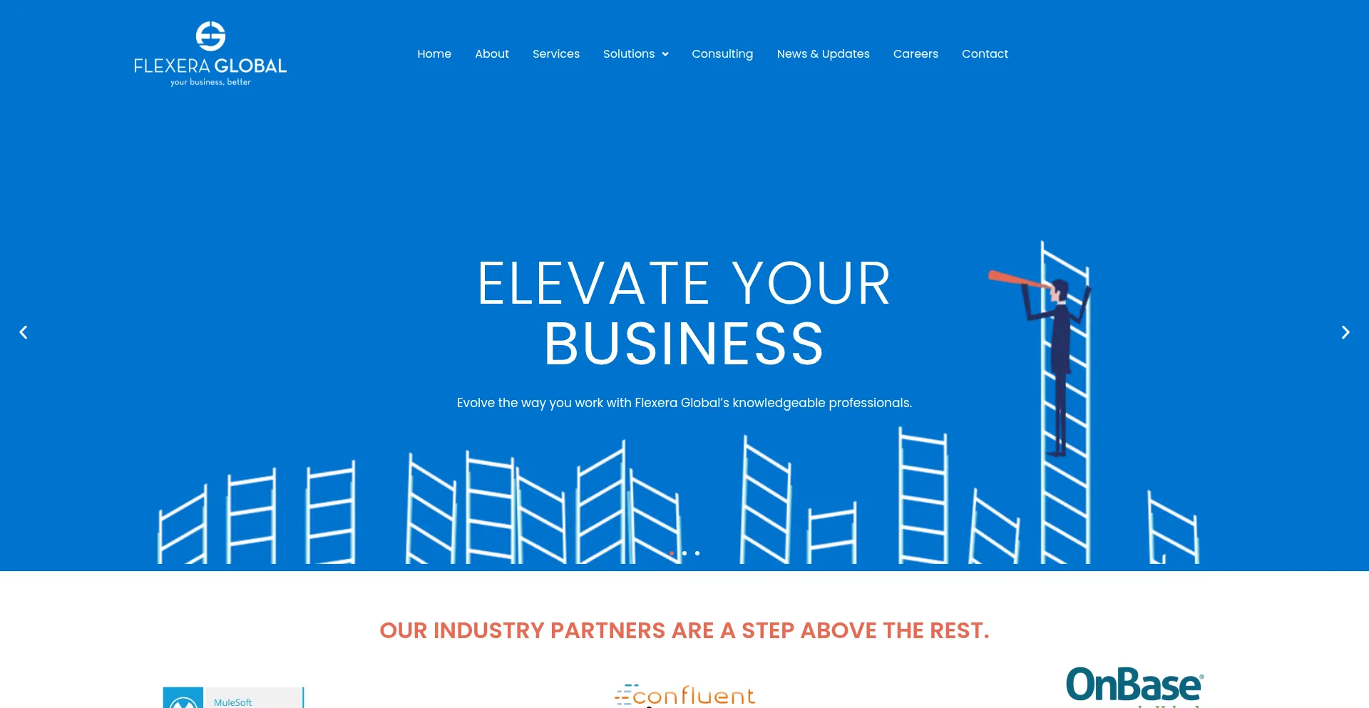 Flexeraglobal.com