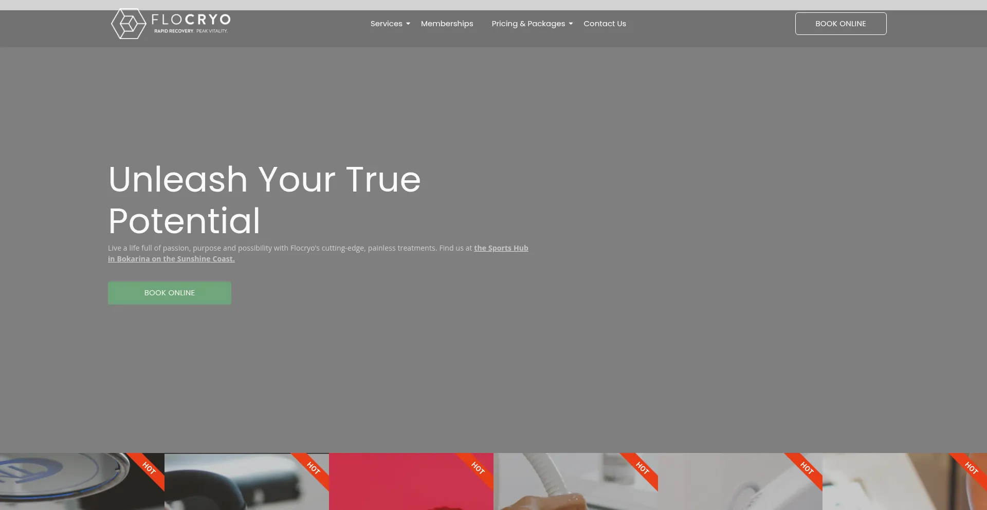 Website screenshot of Flocryo.com.au