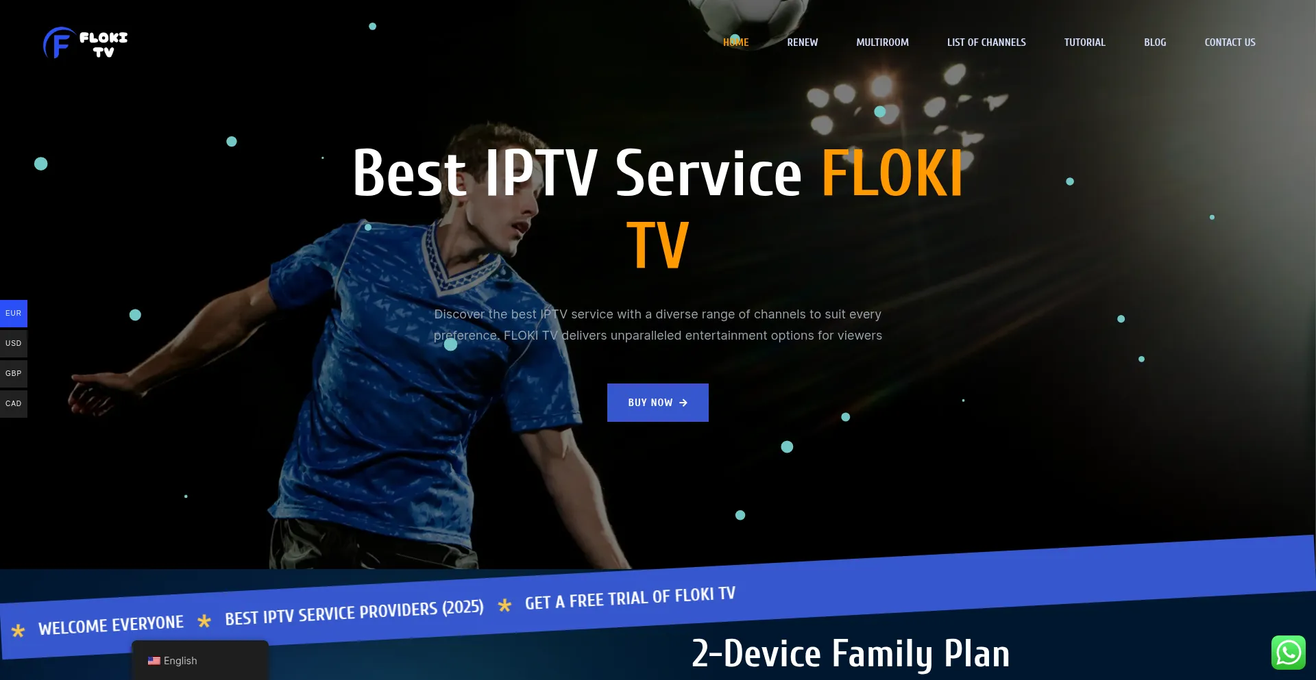 Website screenshot of Flokitv.net