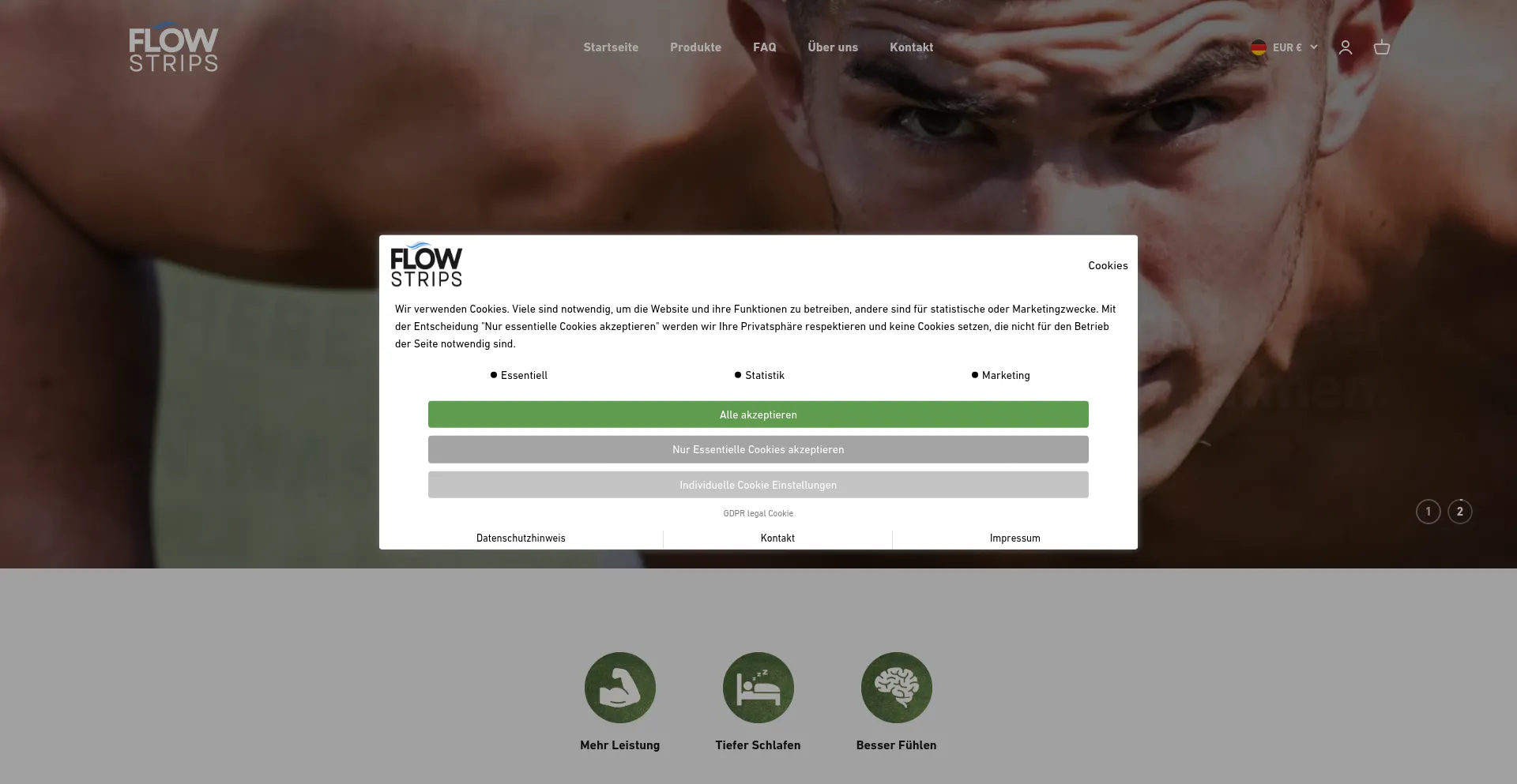 Website screenshot of Flowstrips.de