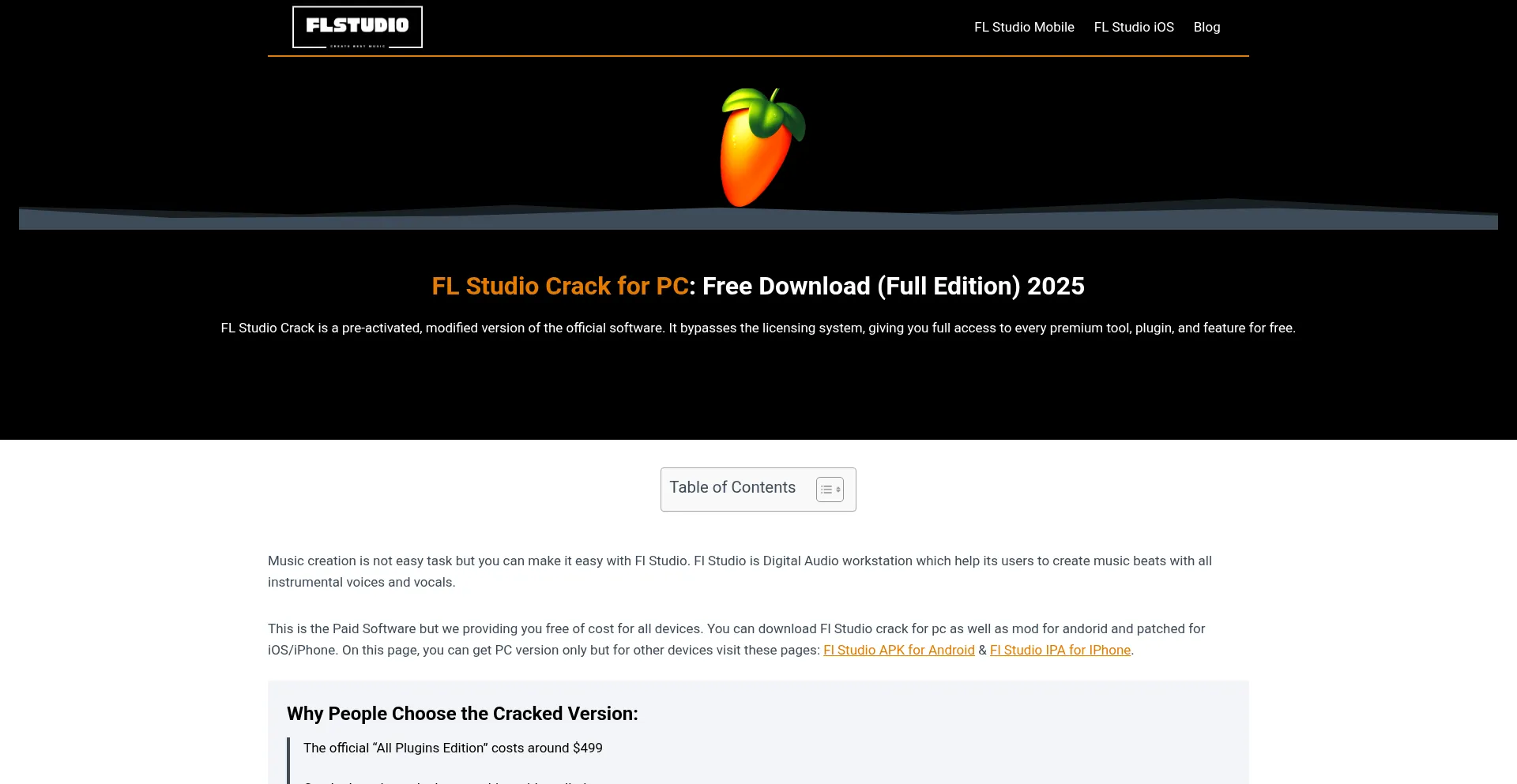 Website screenshot of Flstudiox.com