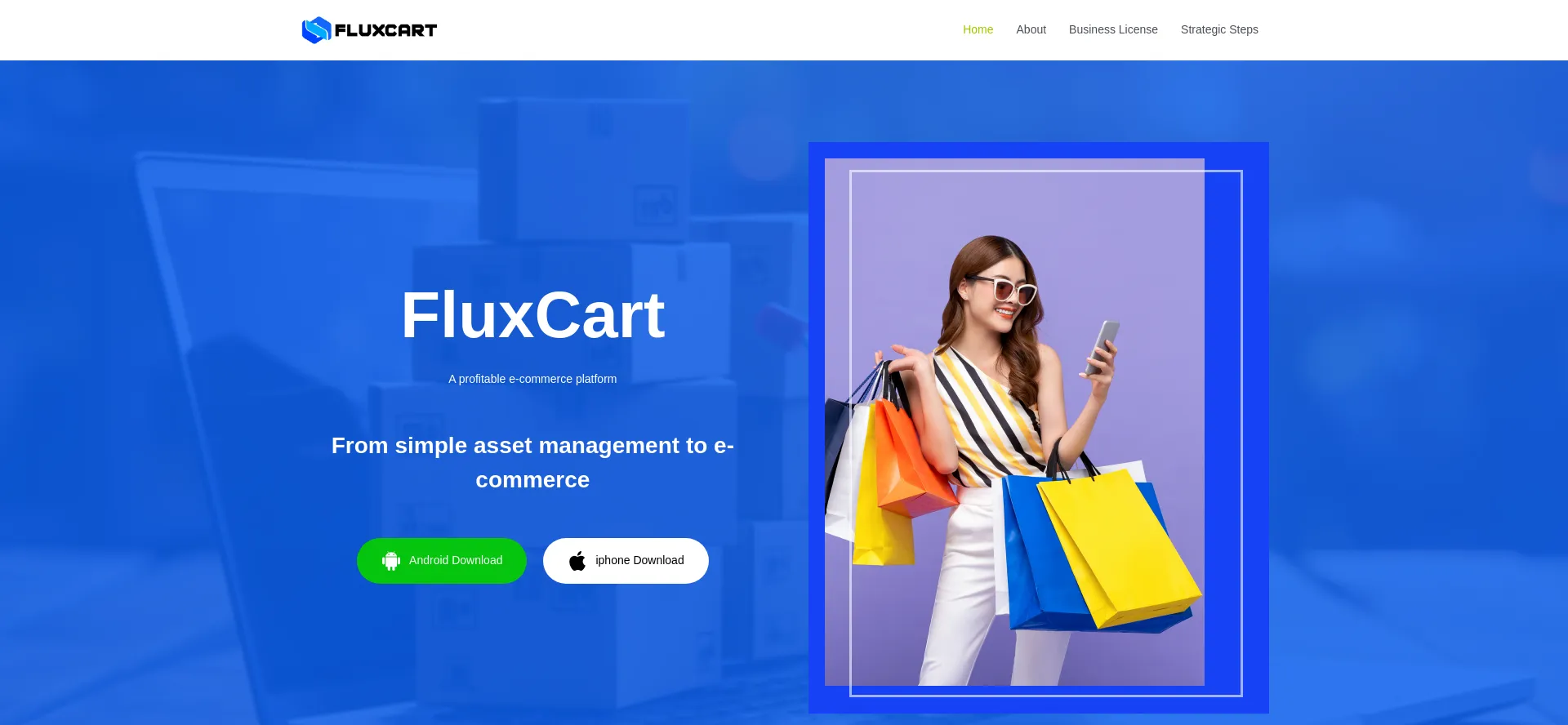 Website screenshot of Fluxcart.store