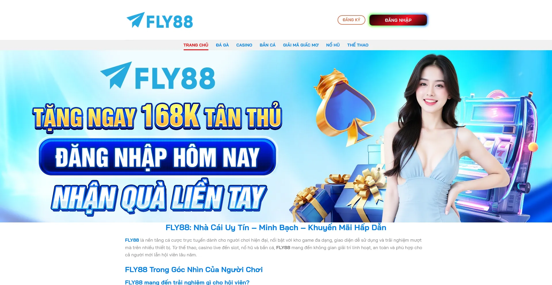 Fly88org.com