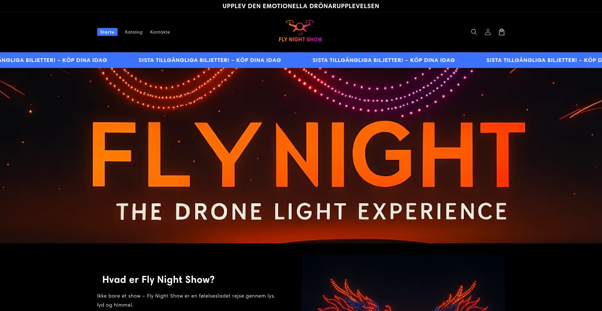 Website screenshot of Flynightshow.com