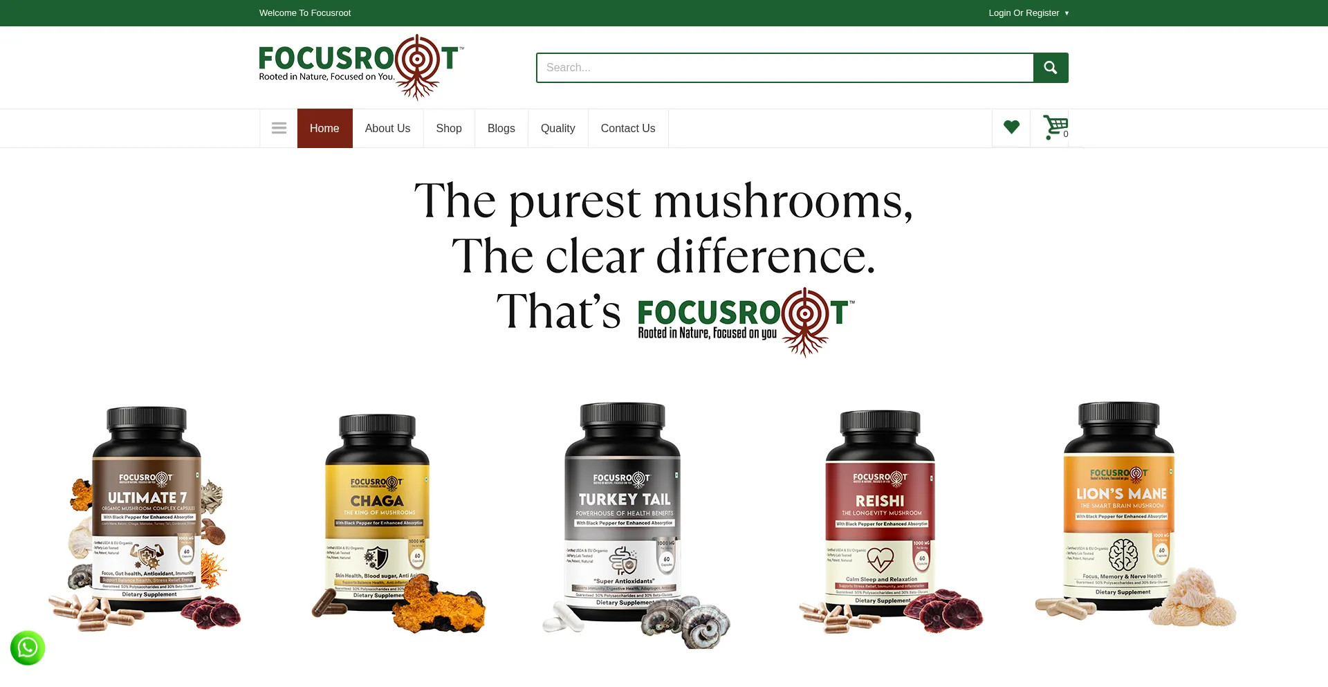 Focusroot.in