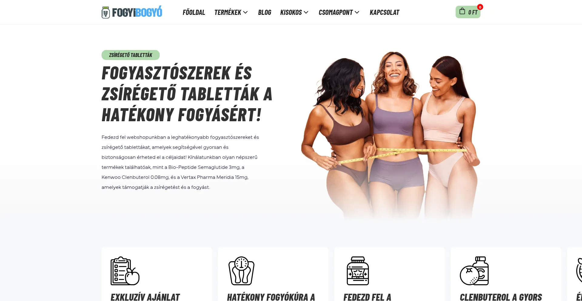 Website screenshot of Fogyibogyo.com