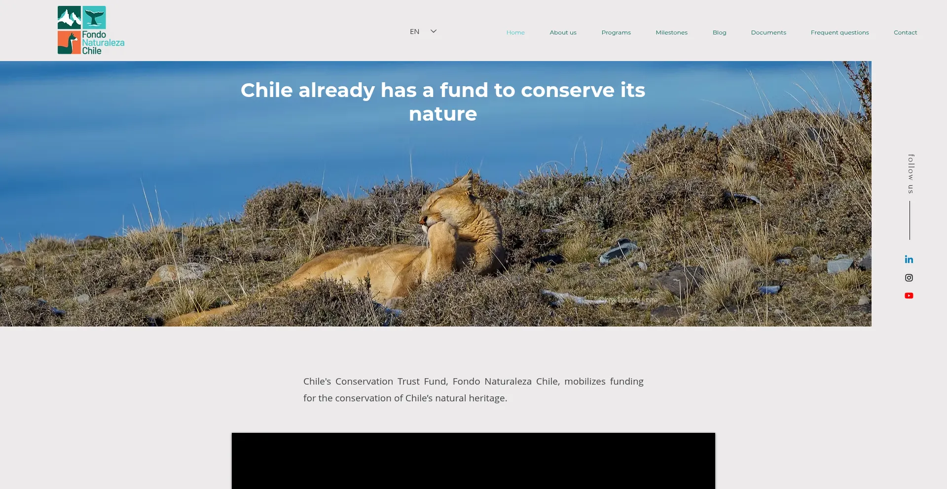 Website screenshot of Fondonaturaleza.org