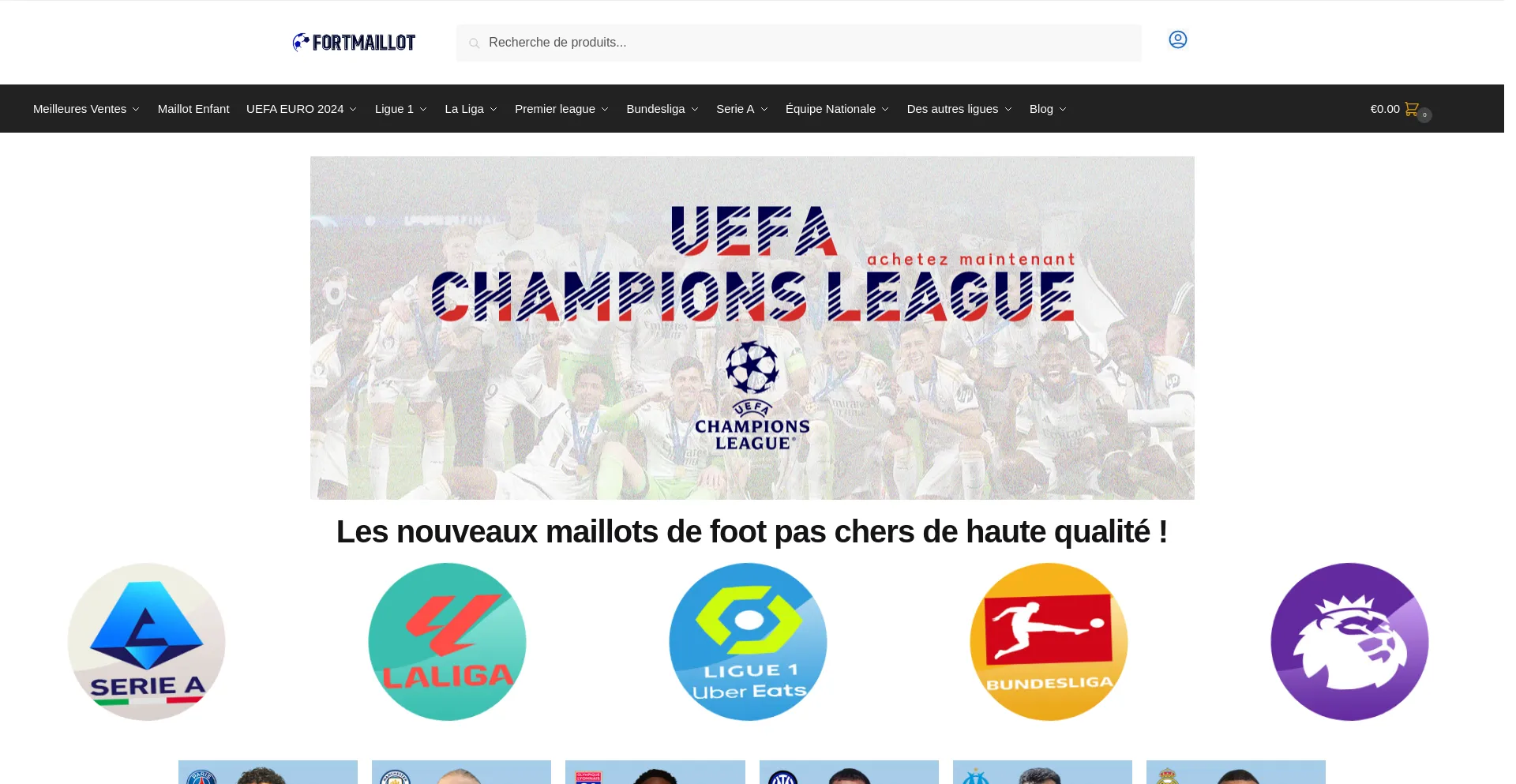 Website screenshot of Fortmaillot.com