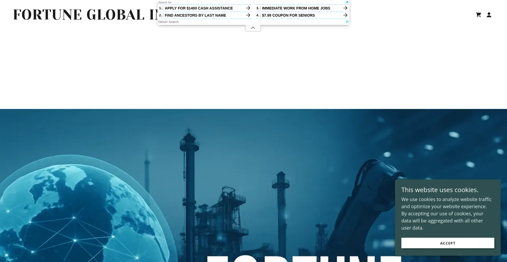 Website screenshot of Fortuneglobalindustry.com