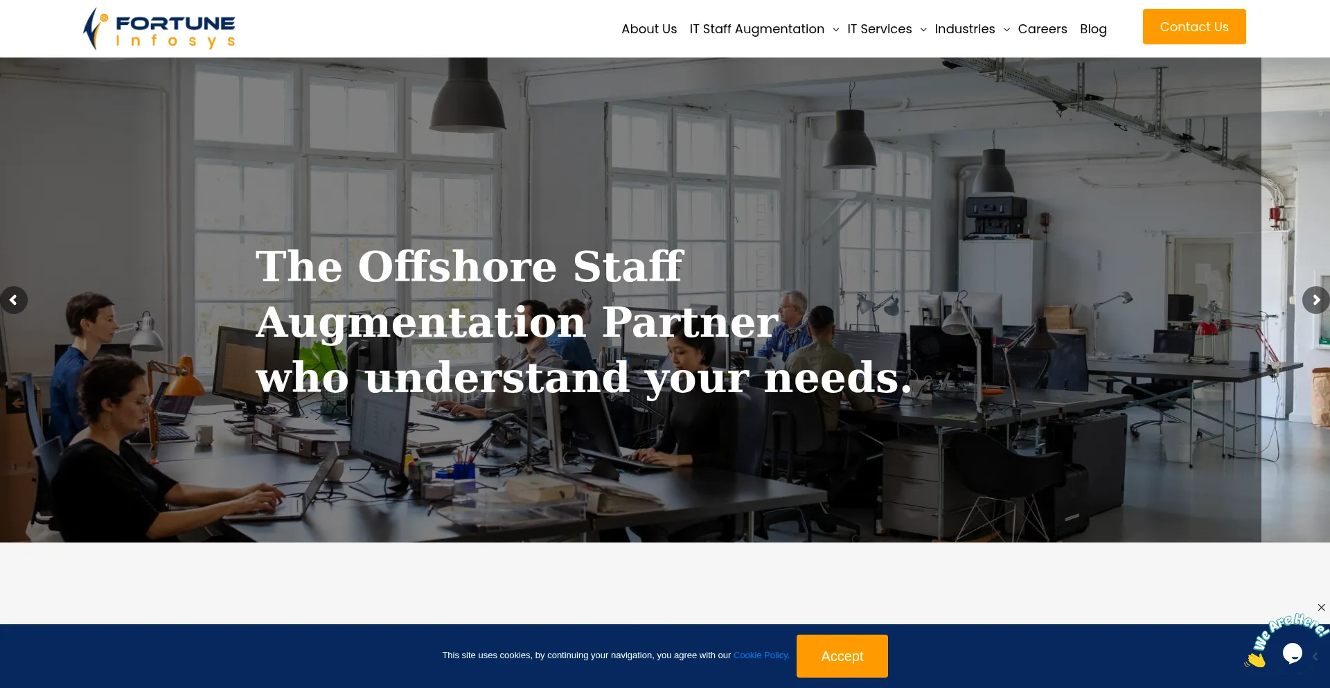 Fortuneinfosys.com