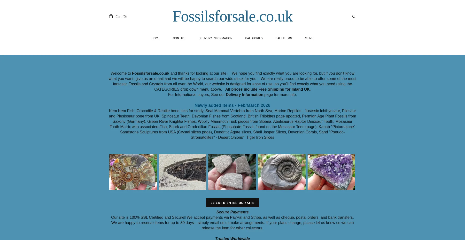 Fossilsforsale.co.uk