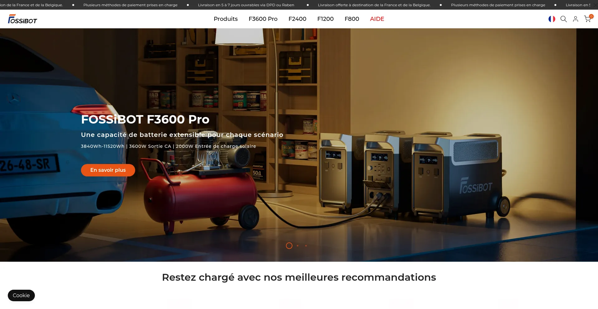 Website screenshot of Fr.fossibot.com