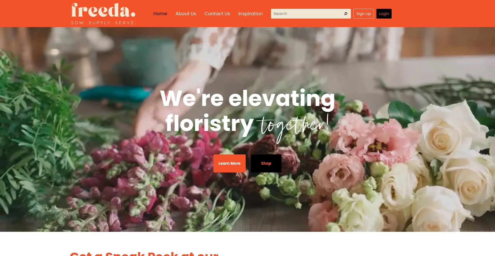 Freeda.co.nz