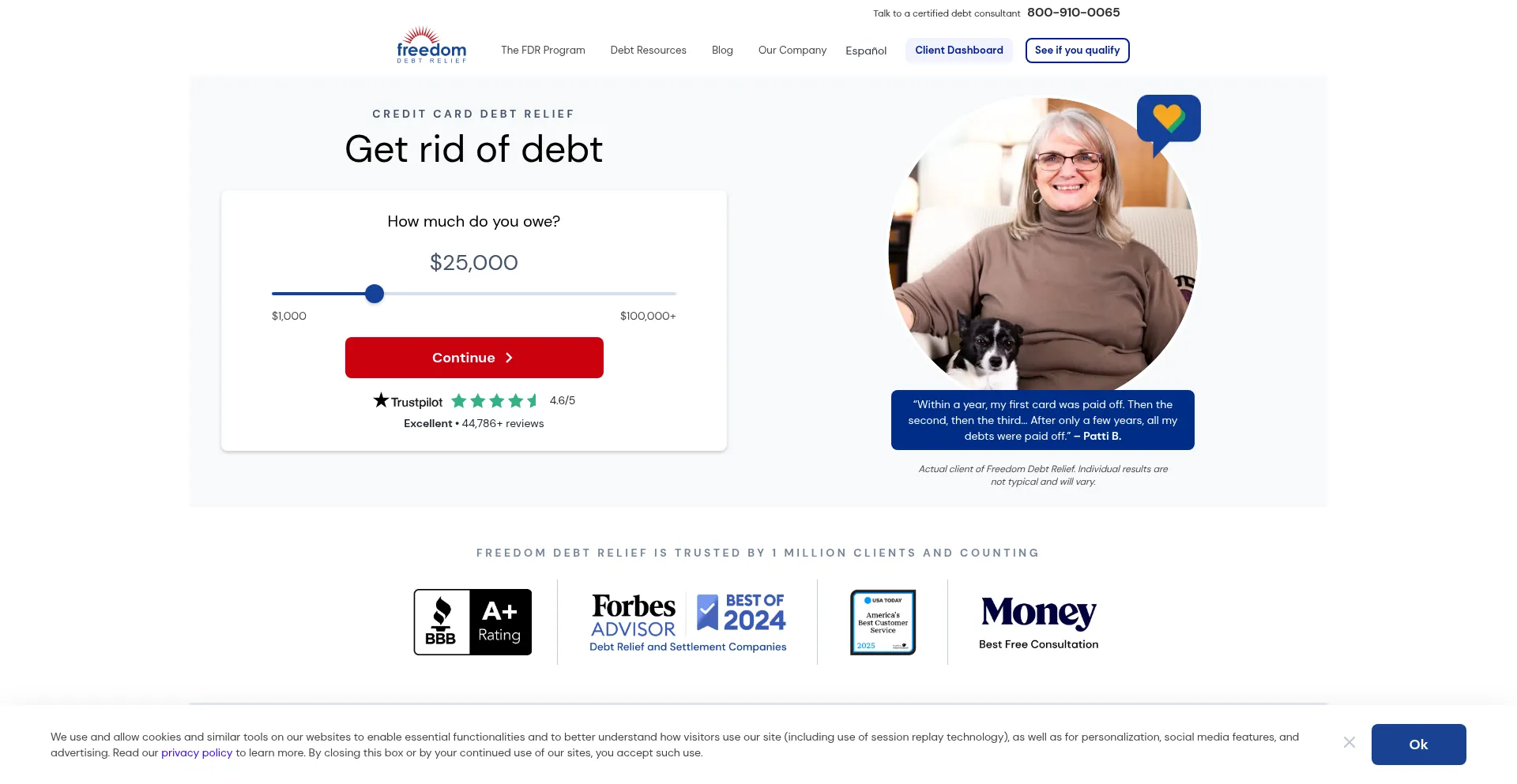 Website screenshot of Freedomdebtsolutions.com
