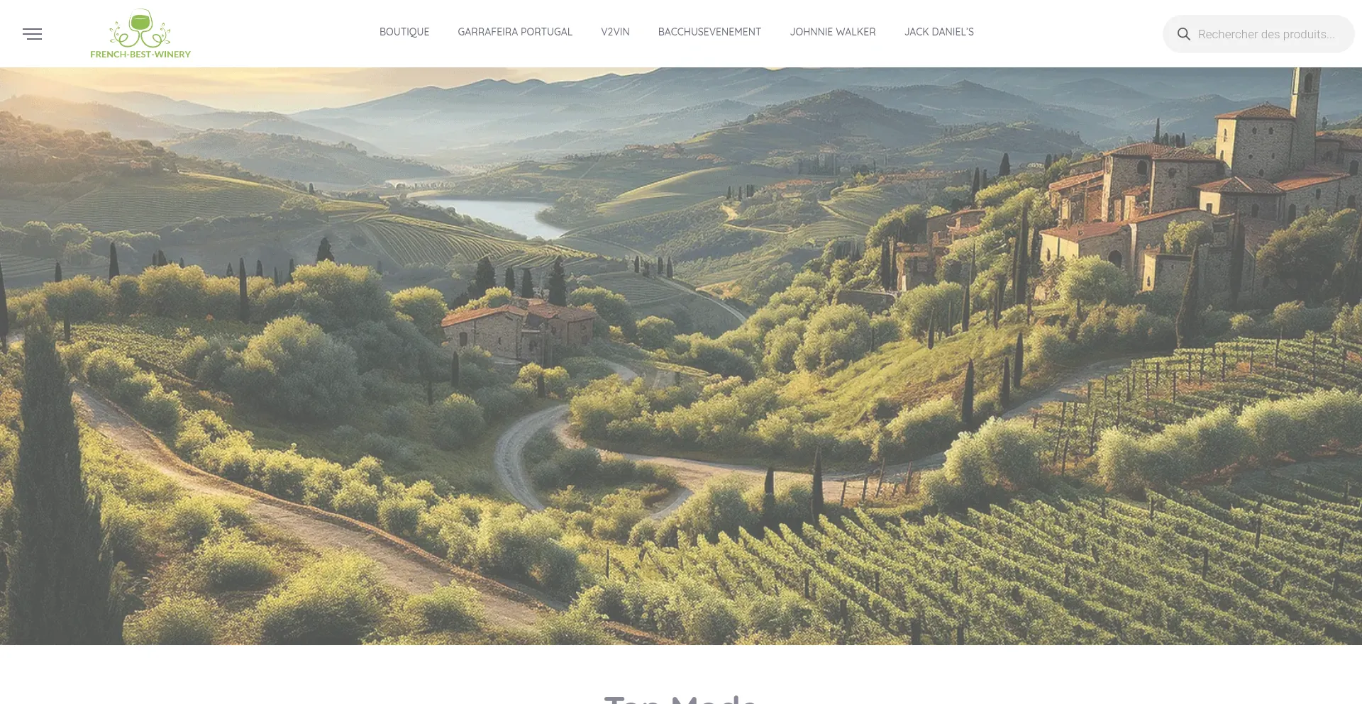 Website screenshot of French-best-winery.com