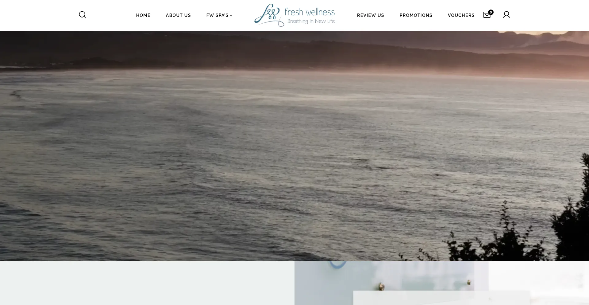 Website screenshot of Freshwellness.co.za
