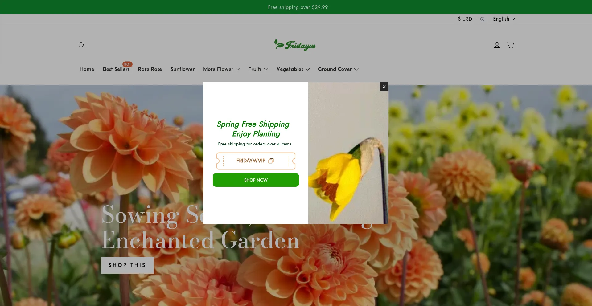 Website screenshot of Fridayw.com