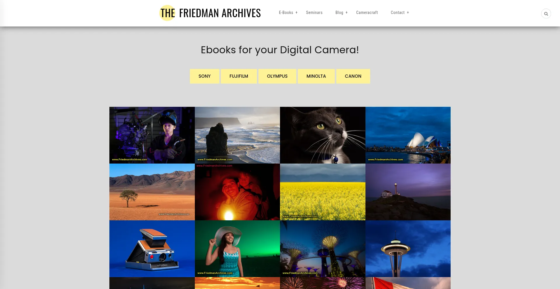Friedmanarchives.com