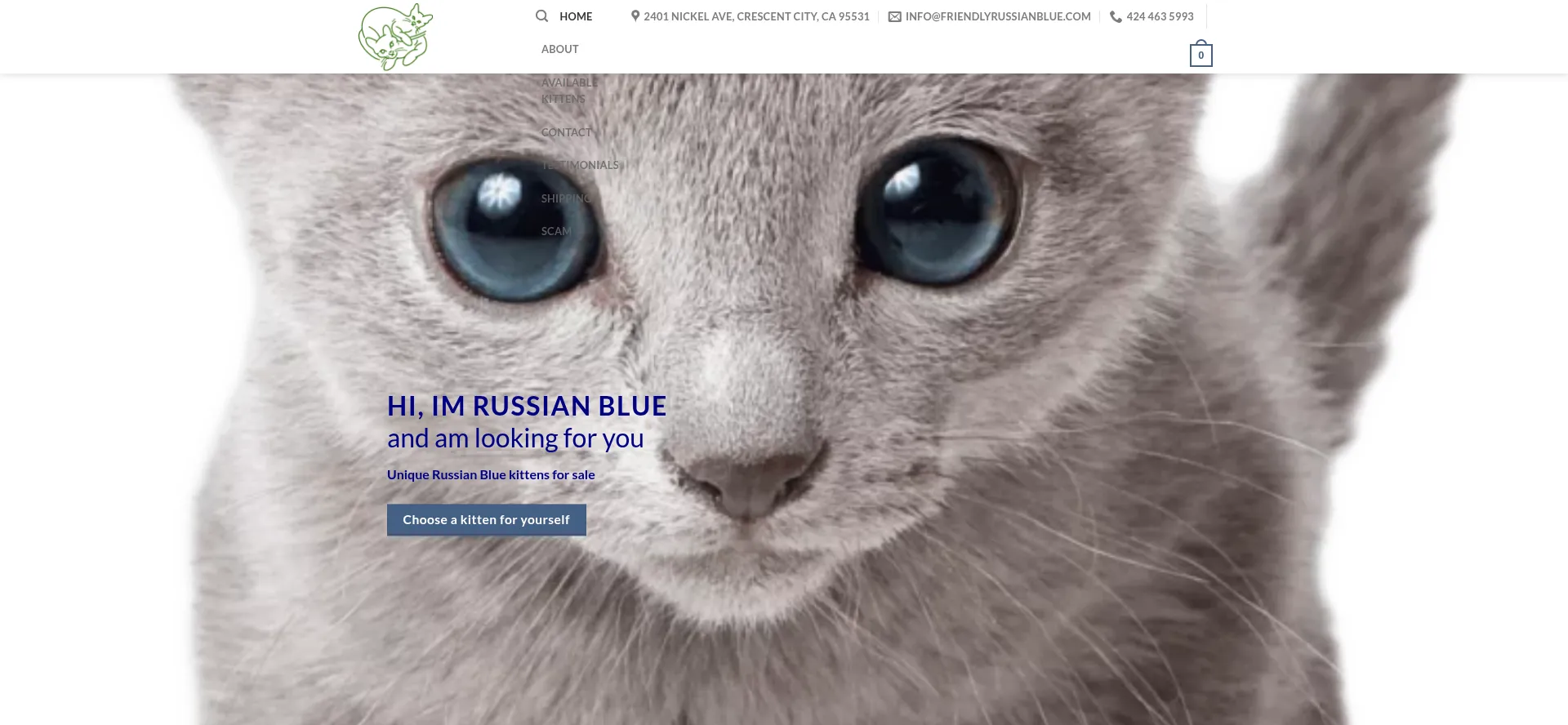 Is Friendlyrussianblue.com Safe?