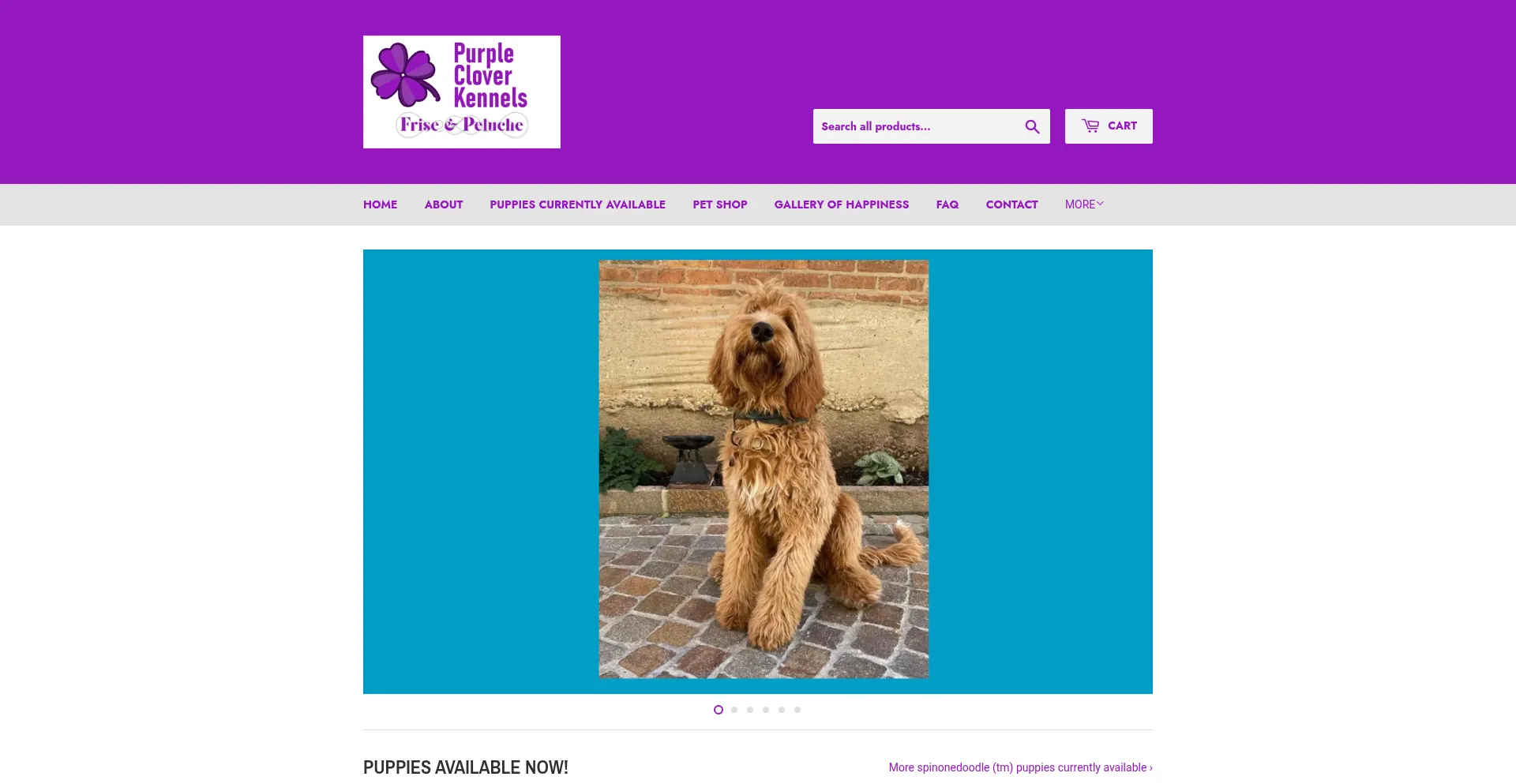 Friseandpeluche.com