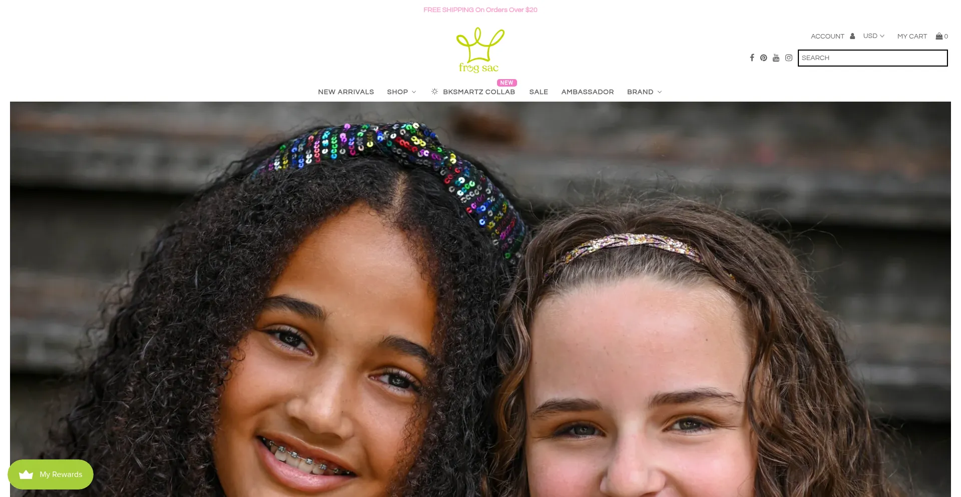 Website screenshot of Frogsac.com
