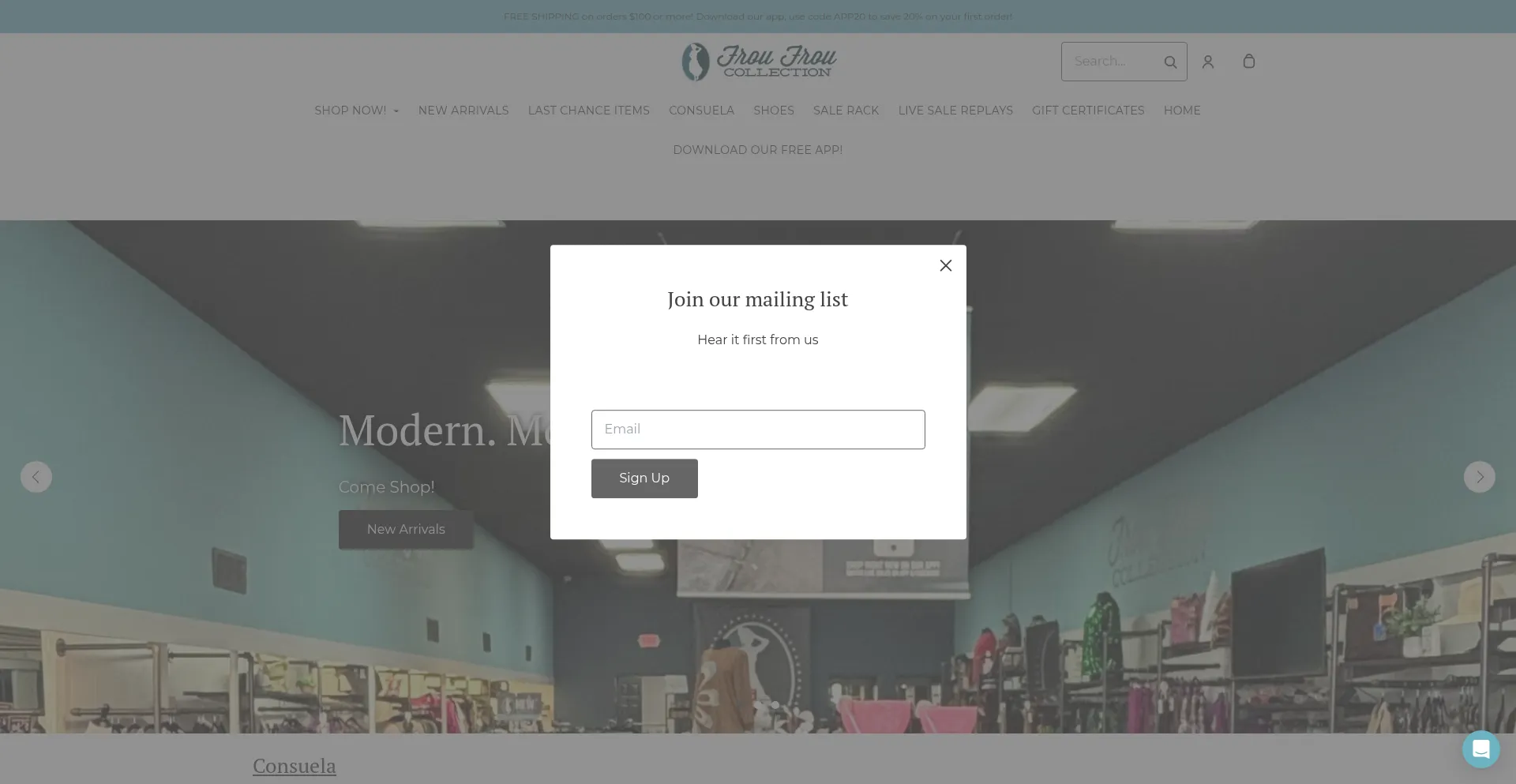 Website screenshot of Froufroucollection.com