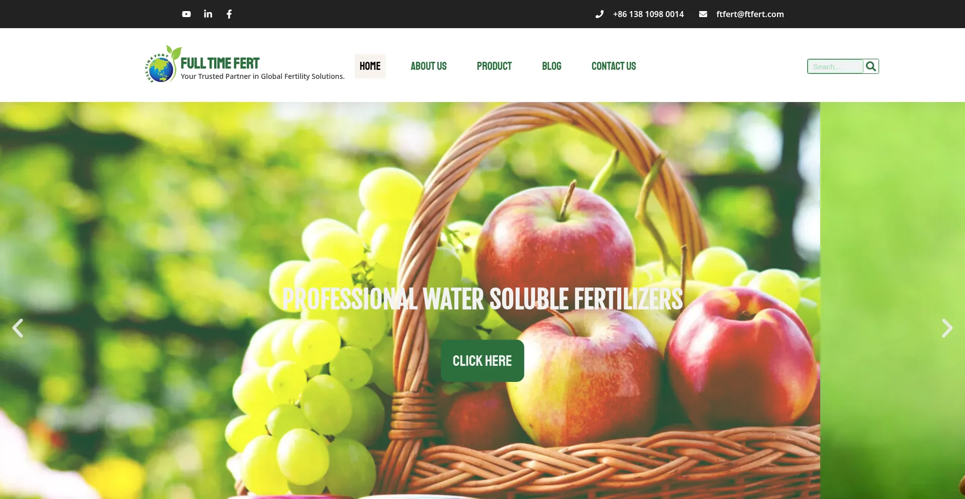 Website screenshot of Ftfert.com