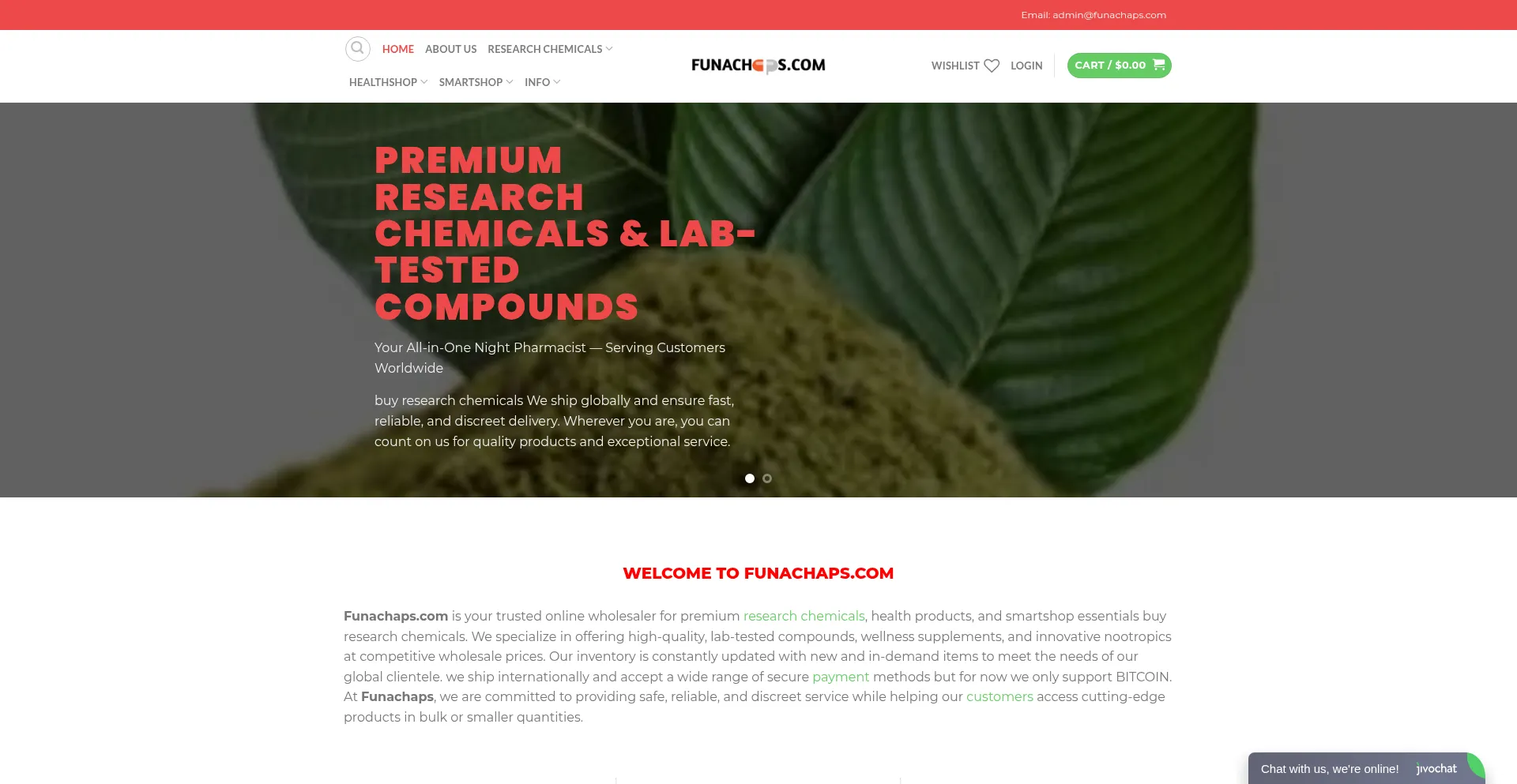 Website screenshot of Funachaps.com
