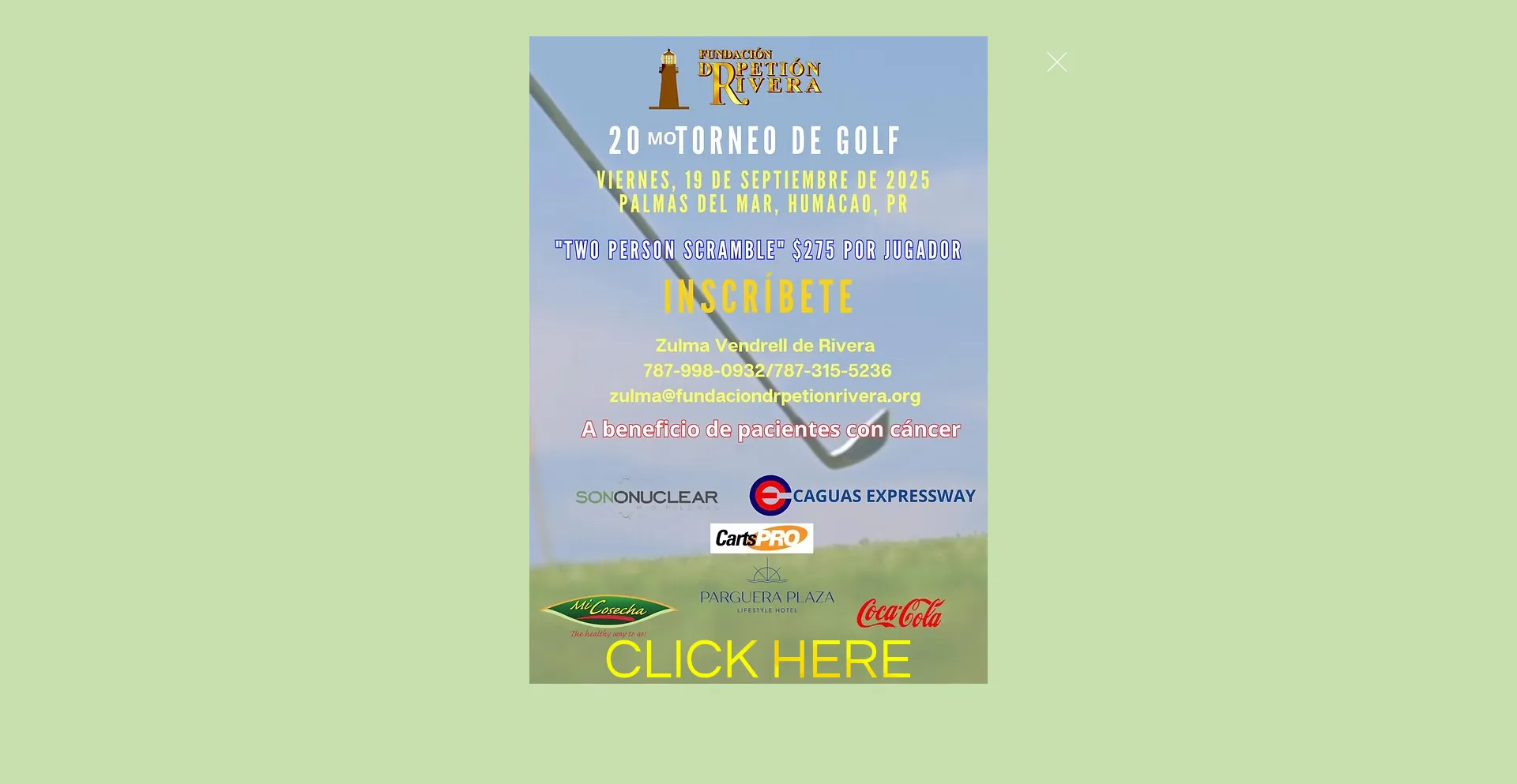 Is Fundaciondrpetionrivera.org Safe?