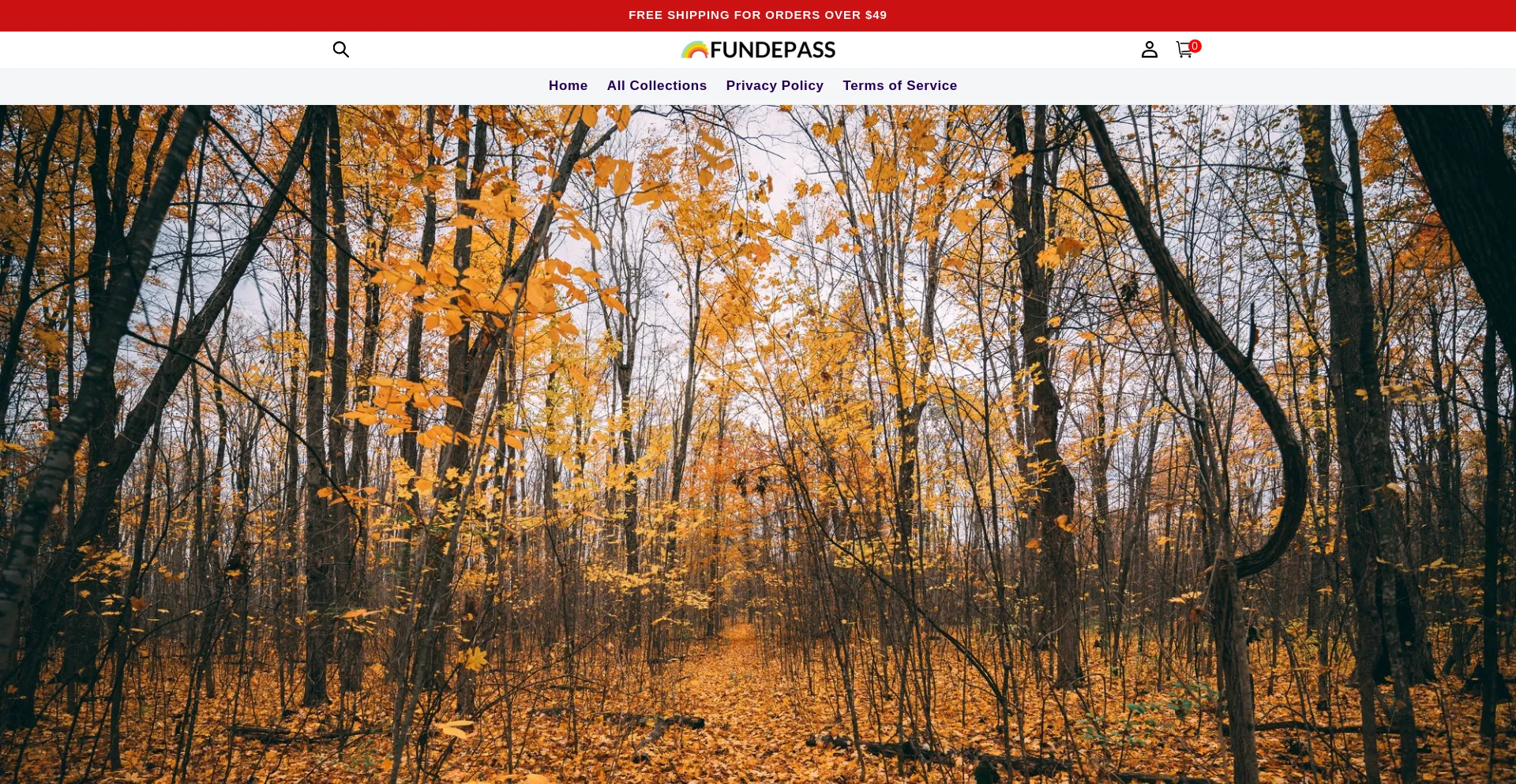 Website screenshot of Fundepass.com