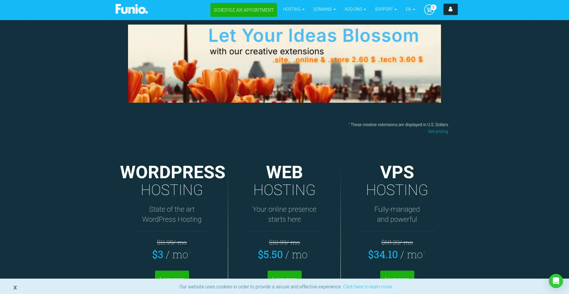 Website screenshot of Funio.com