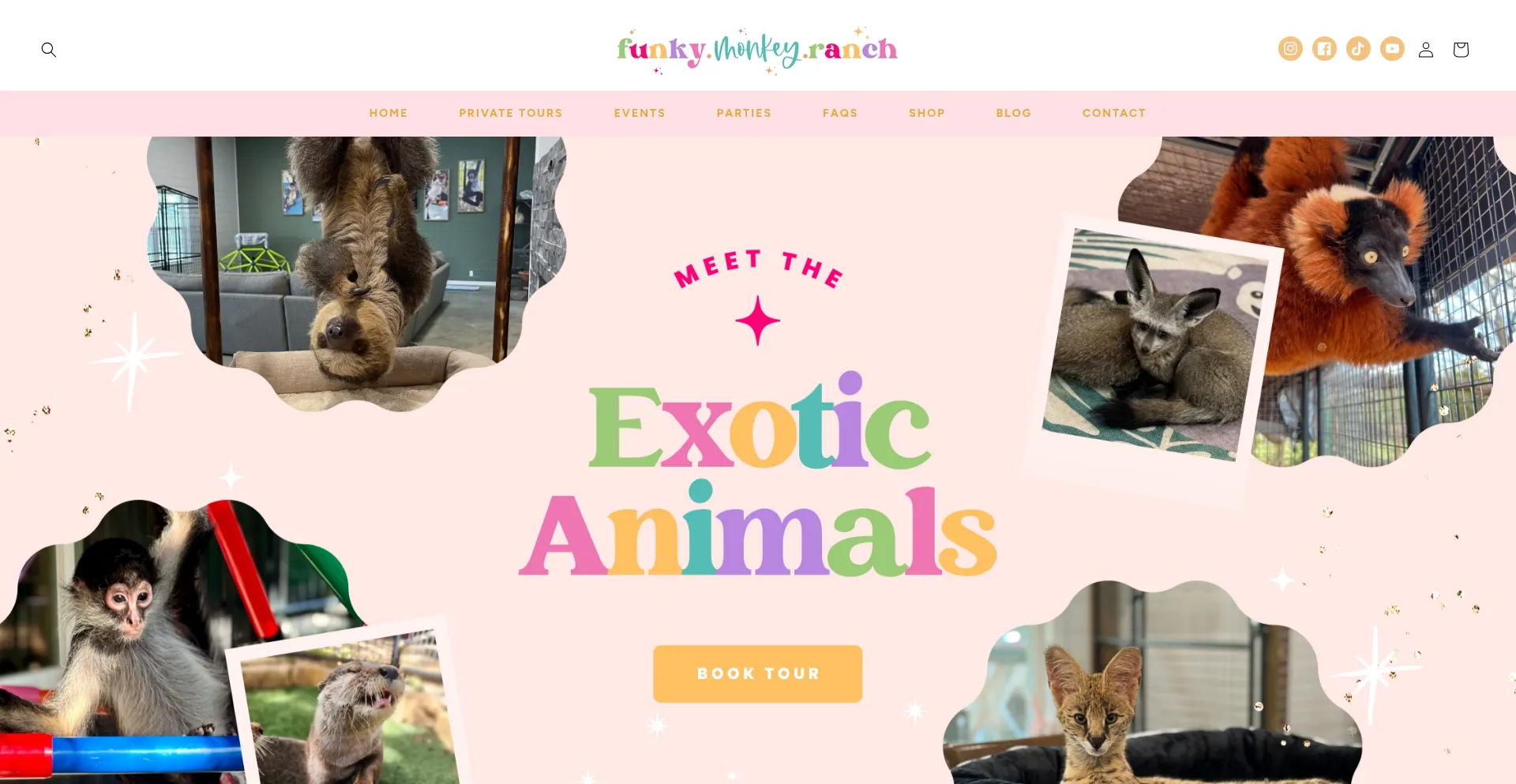 Funkymonkeyranch.com Screenshot