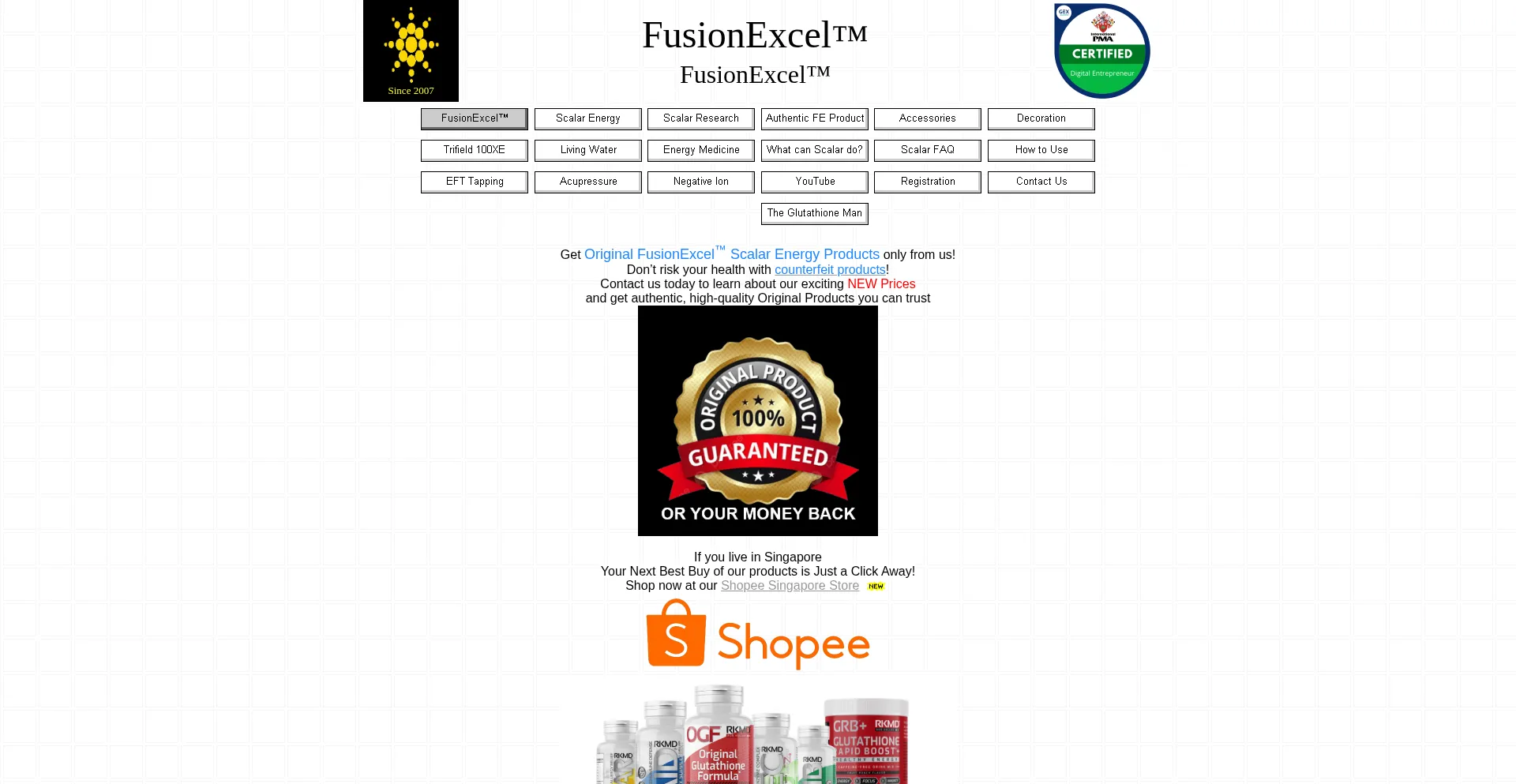 Website screenshot of Fusionexcel.my