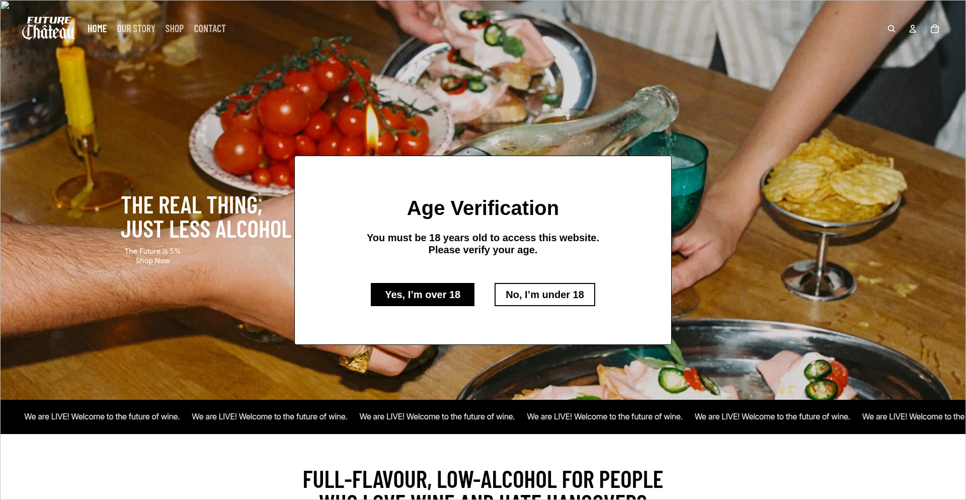 Futurechateau.com Screenshot