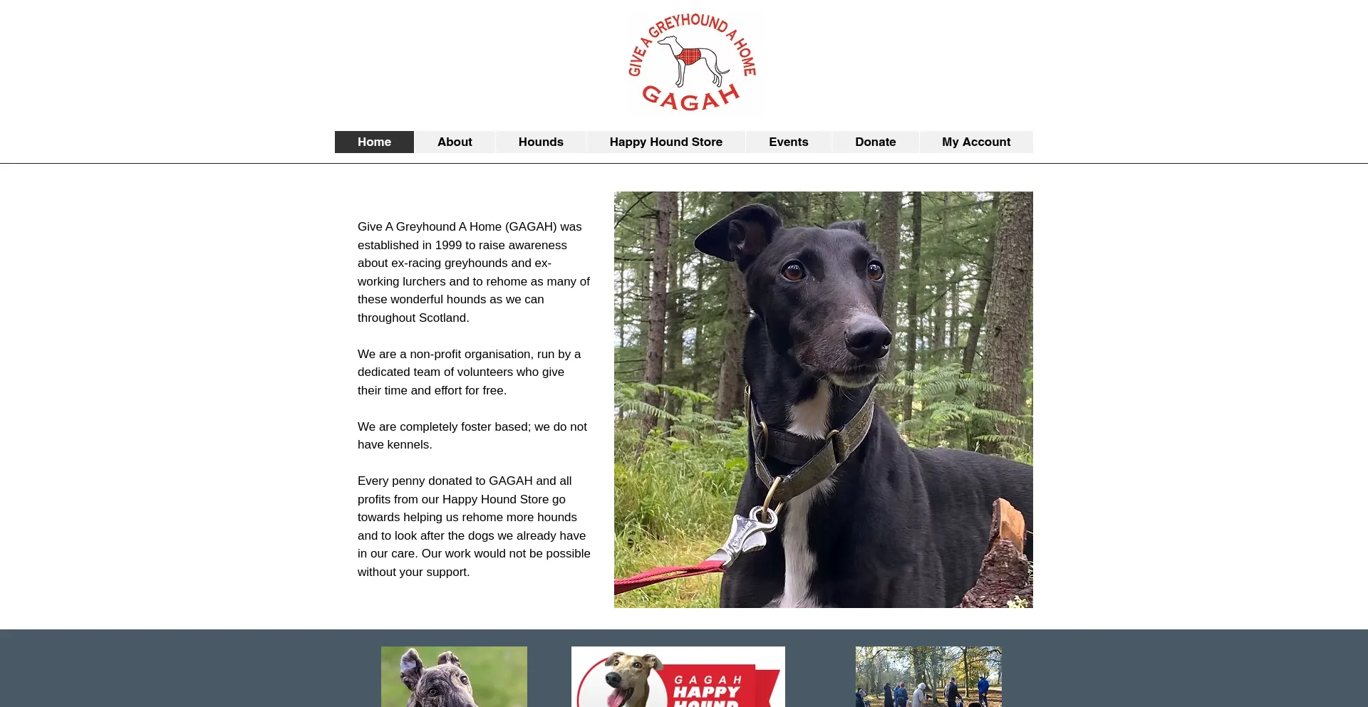 Website screenshot of Gagah.co.uk