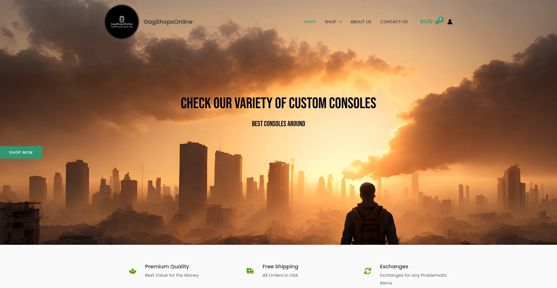 Website screenshot of Gagshoponline.com