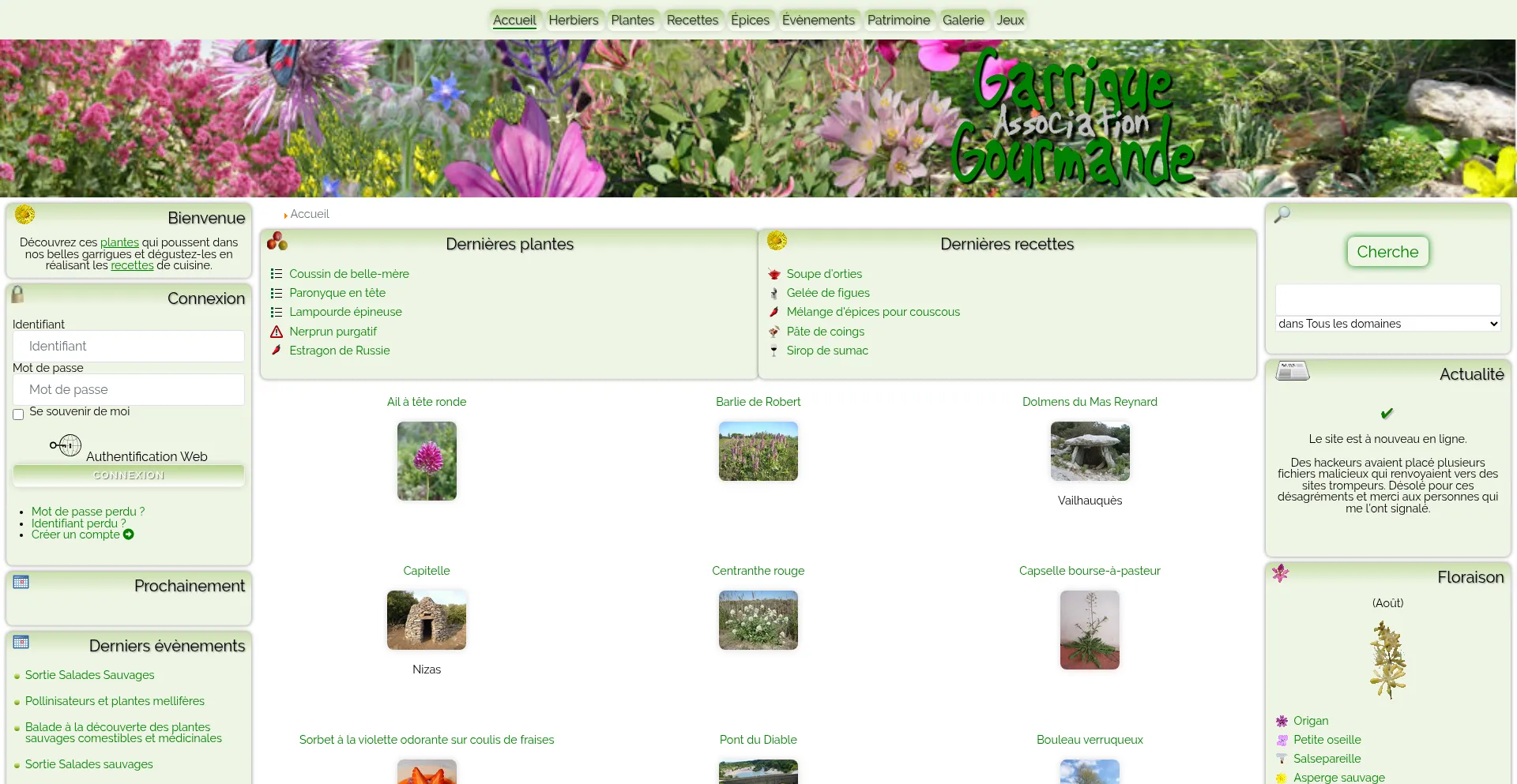 Website screenshot of Garrigue-gourmande.fr