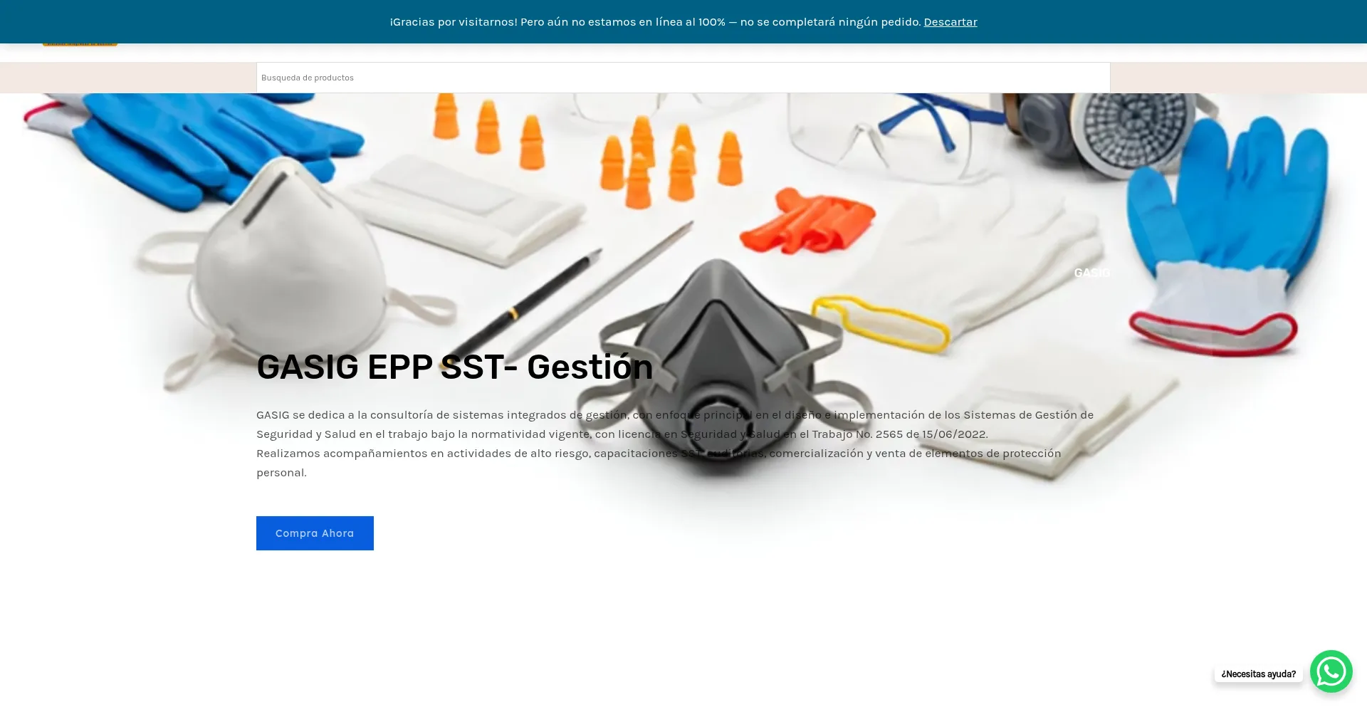 Website screenshot of Gasigsst.co