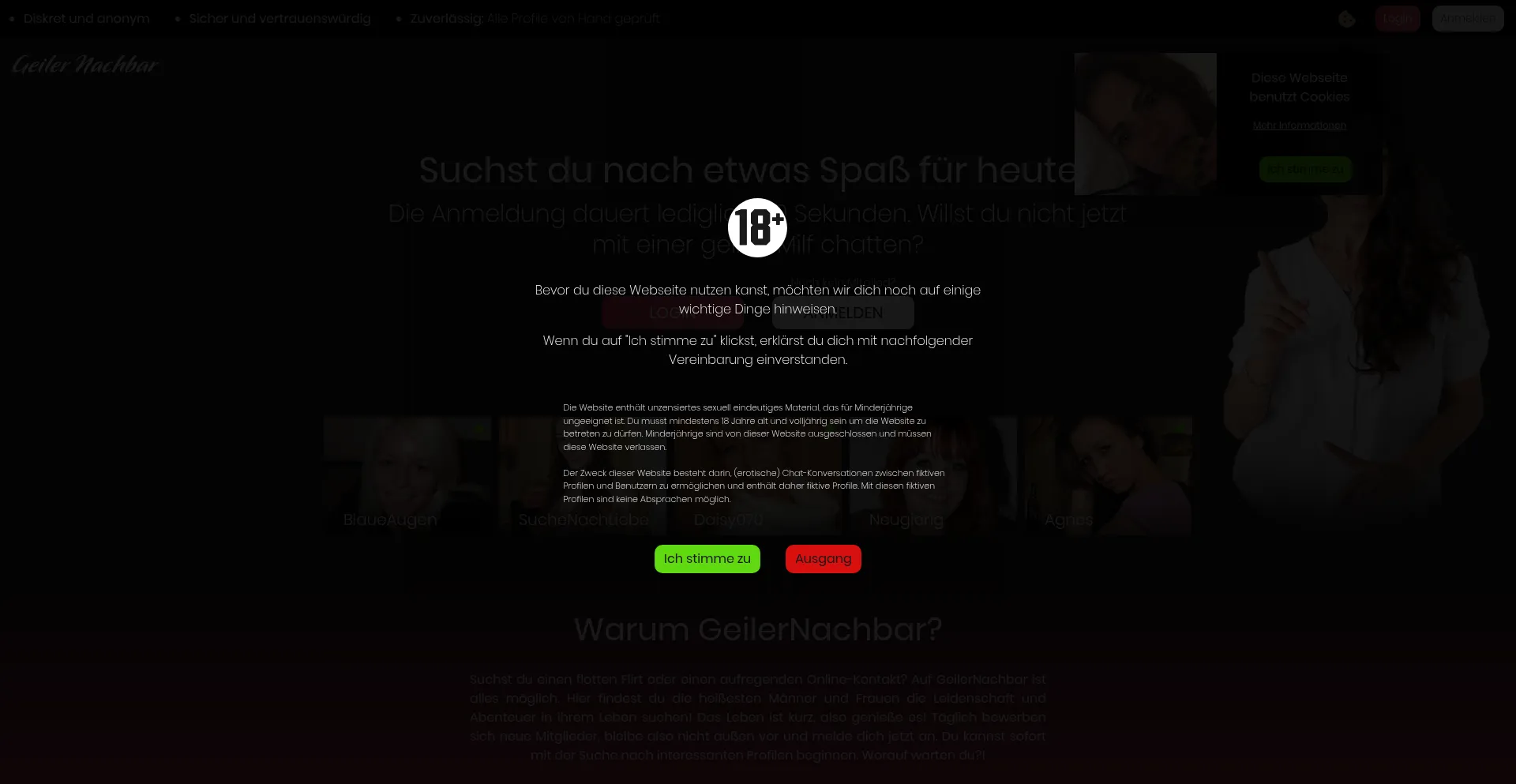 Website screenshot of Geilernachbar.com