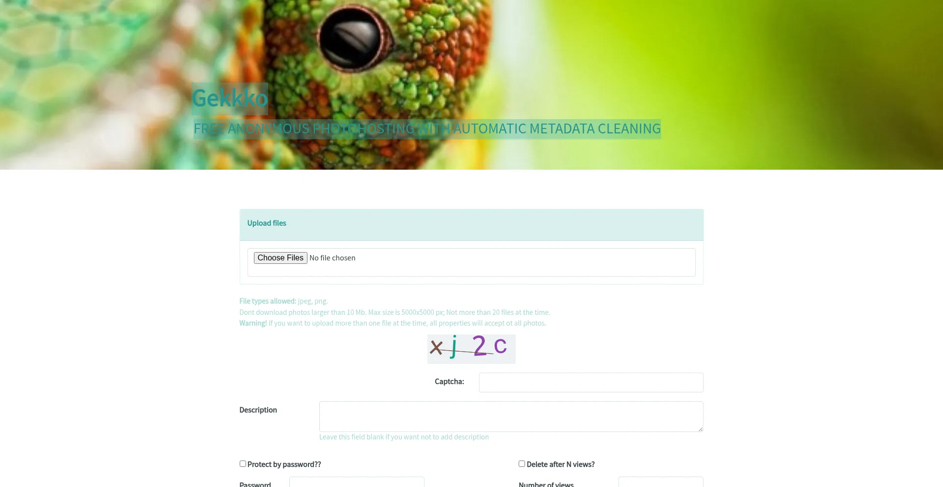 Gekkkk.co Screenshot