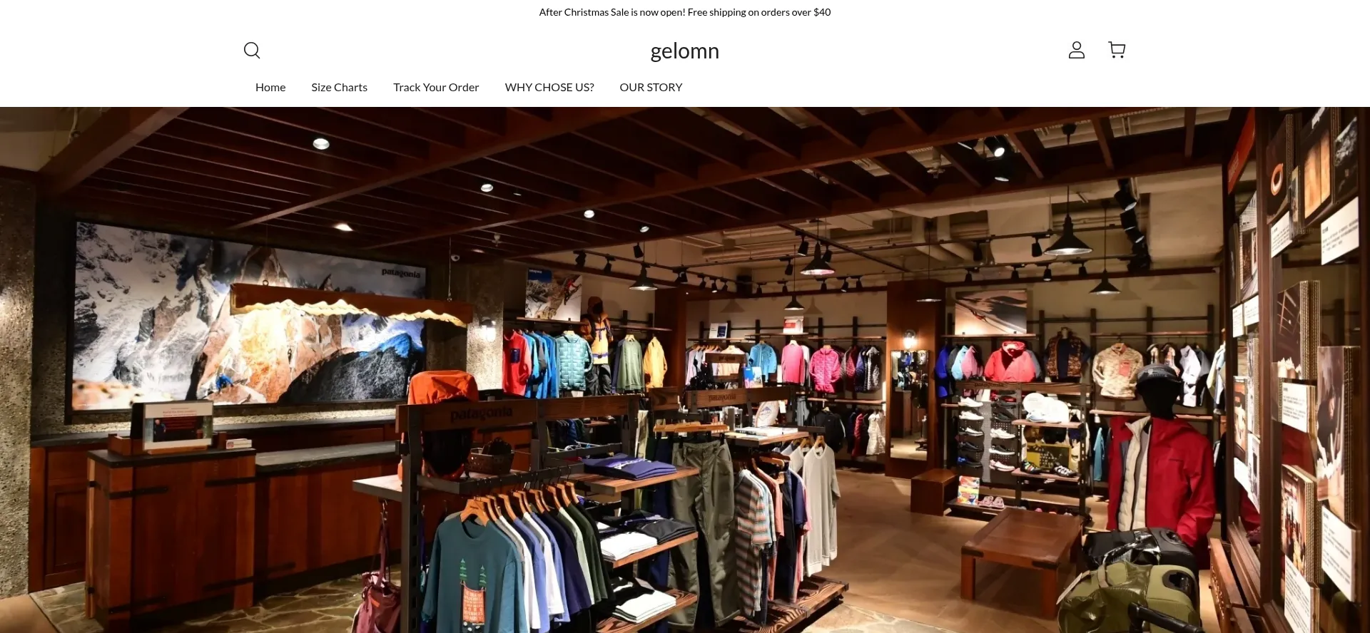 Website screenshot of Gelomn.shop