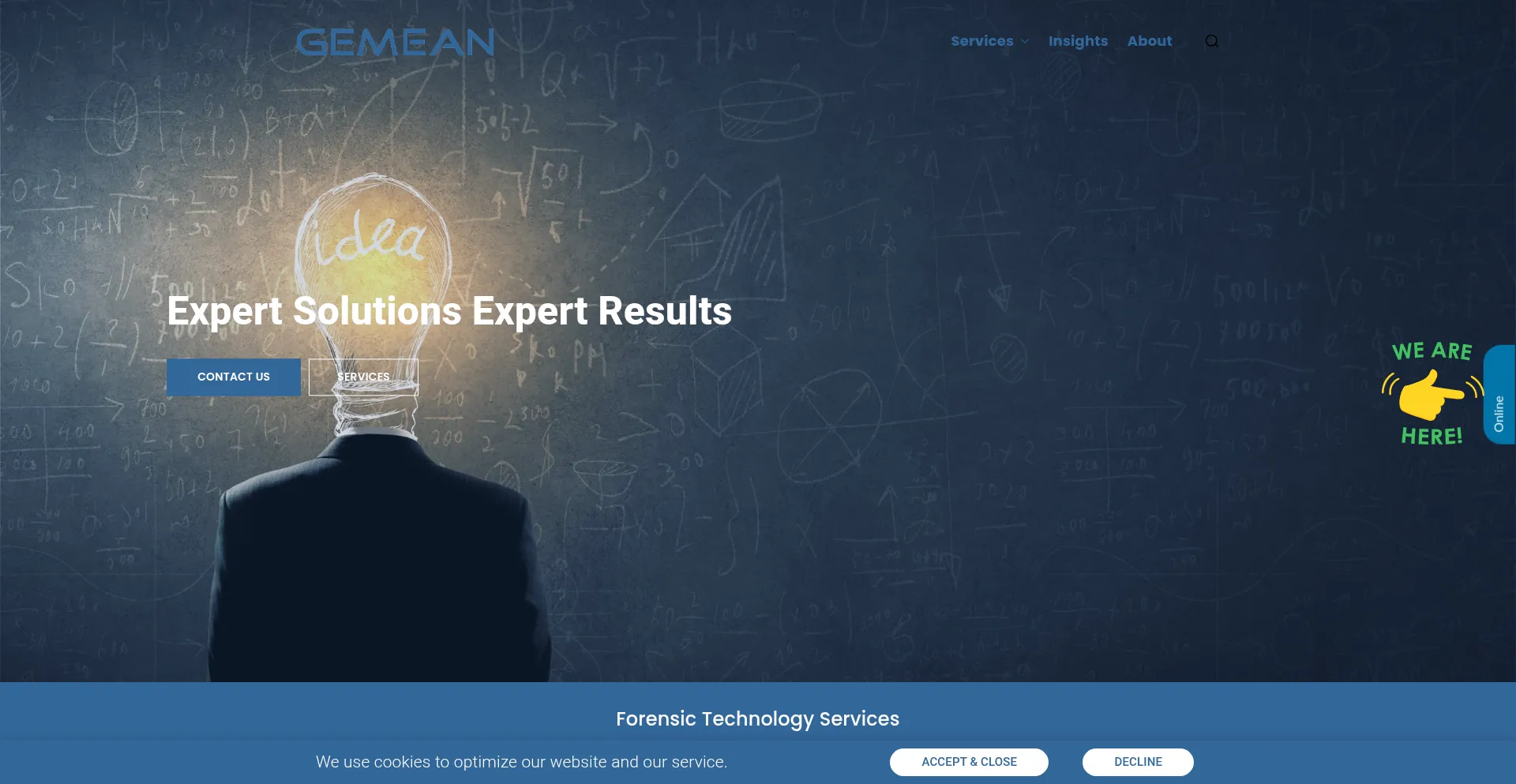Website screenshot of Gemean.com