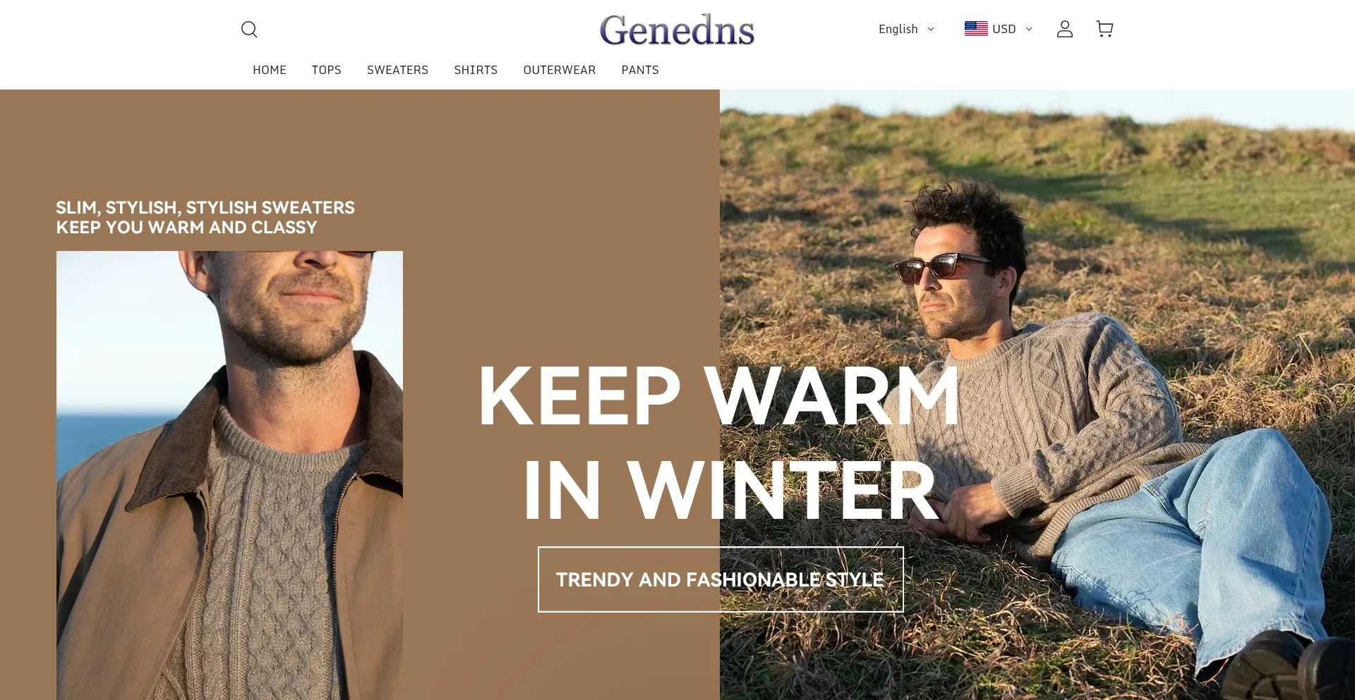 Website screenshot of Genedns.com