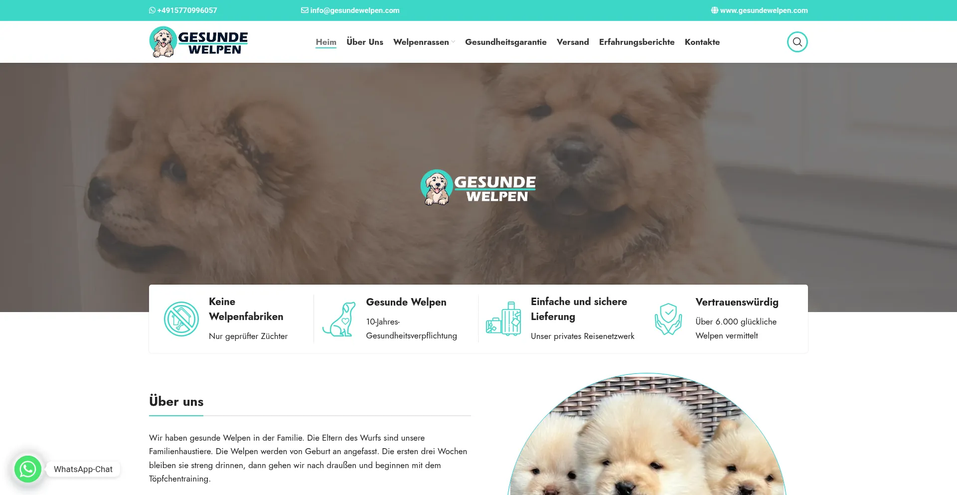 Is Gesundewelpen.com Safe?