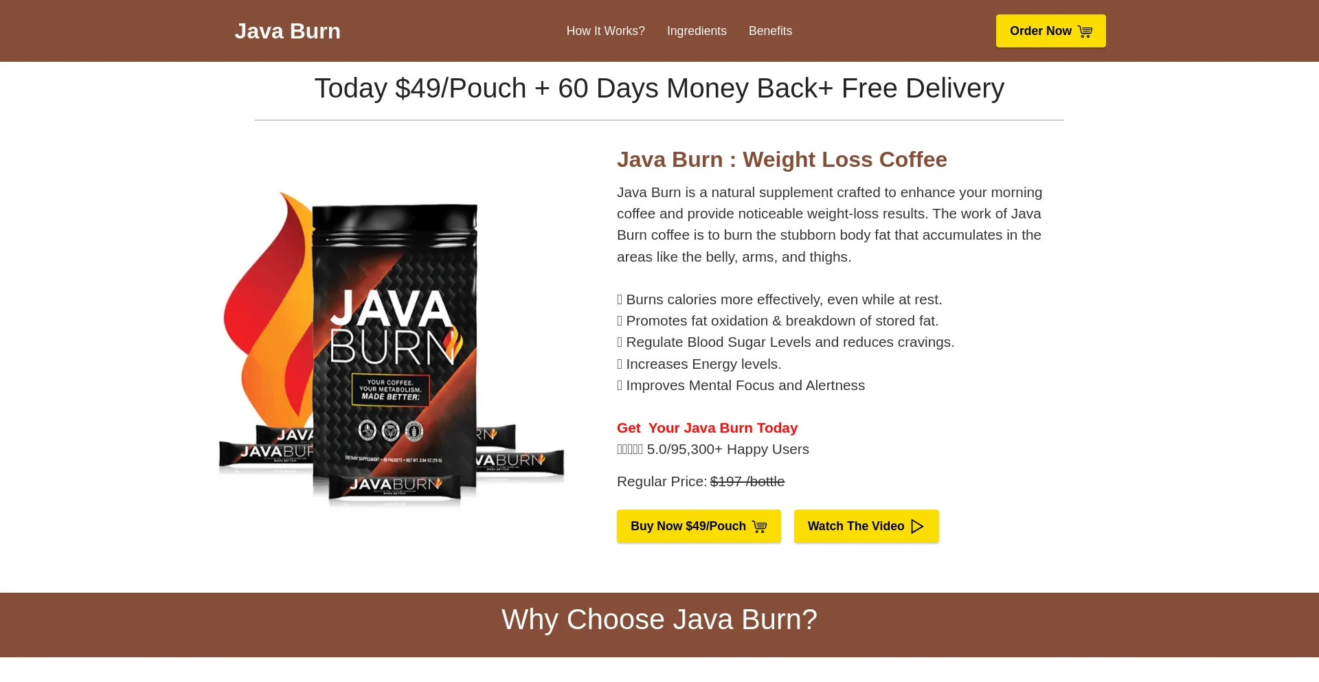 Website screenshot of Get-javaburn.com